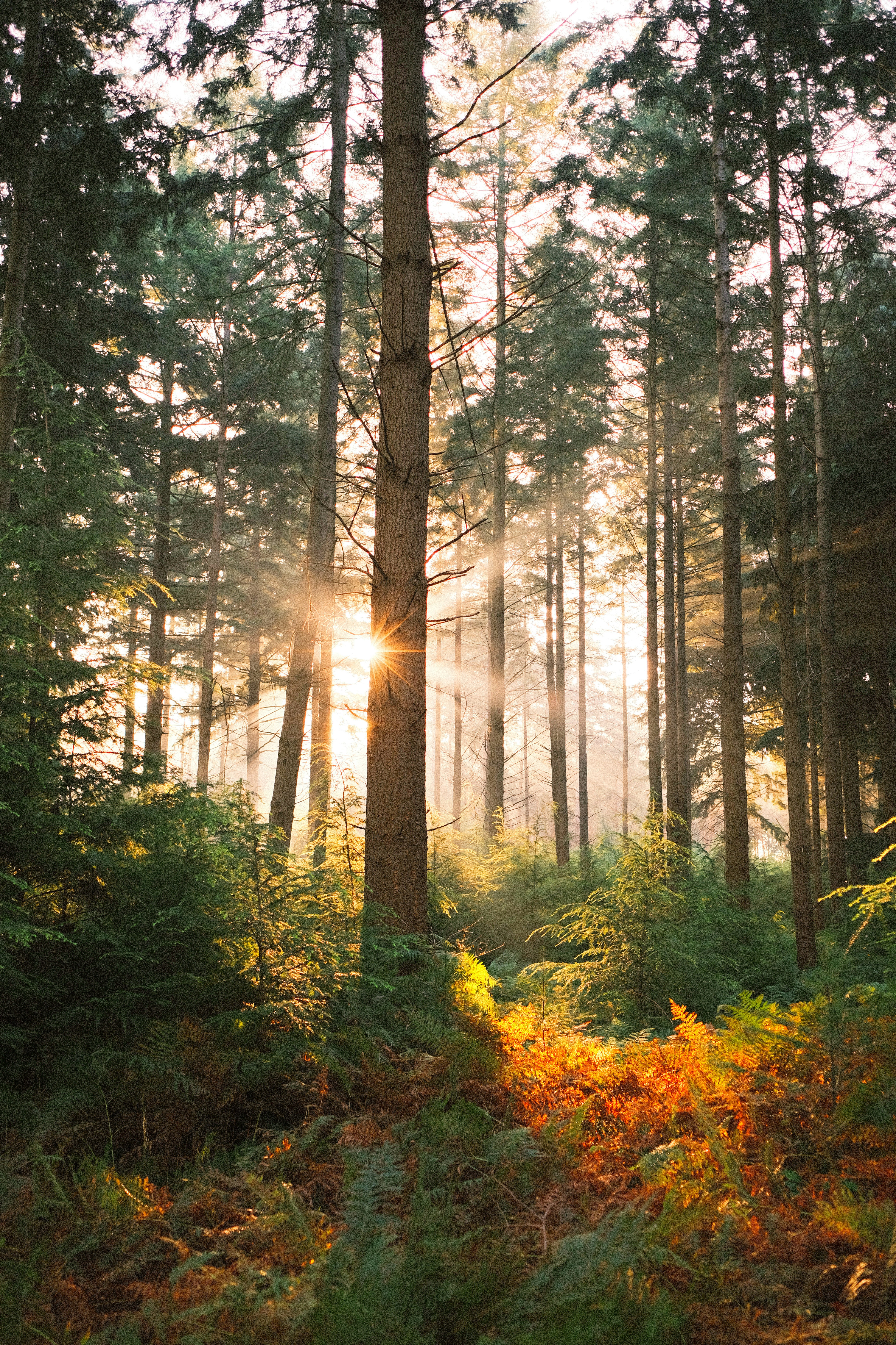 Photo by visualsbying