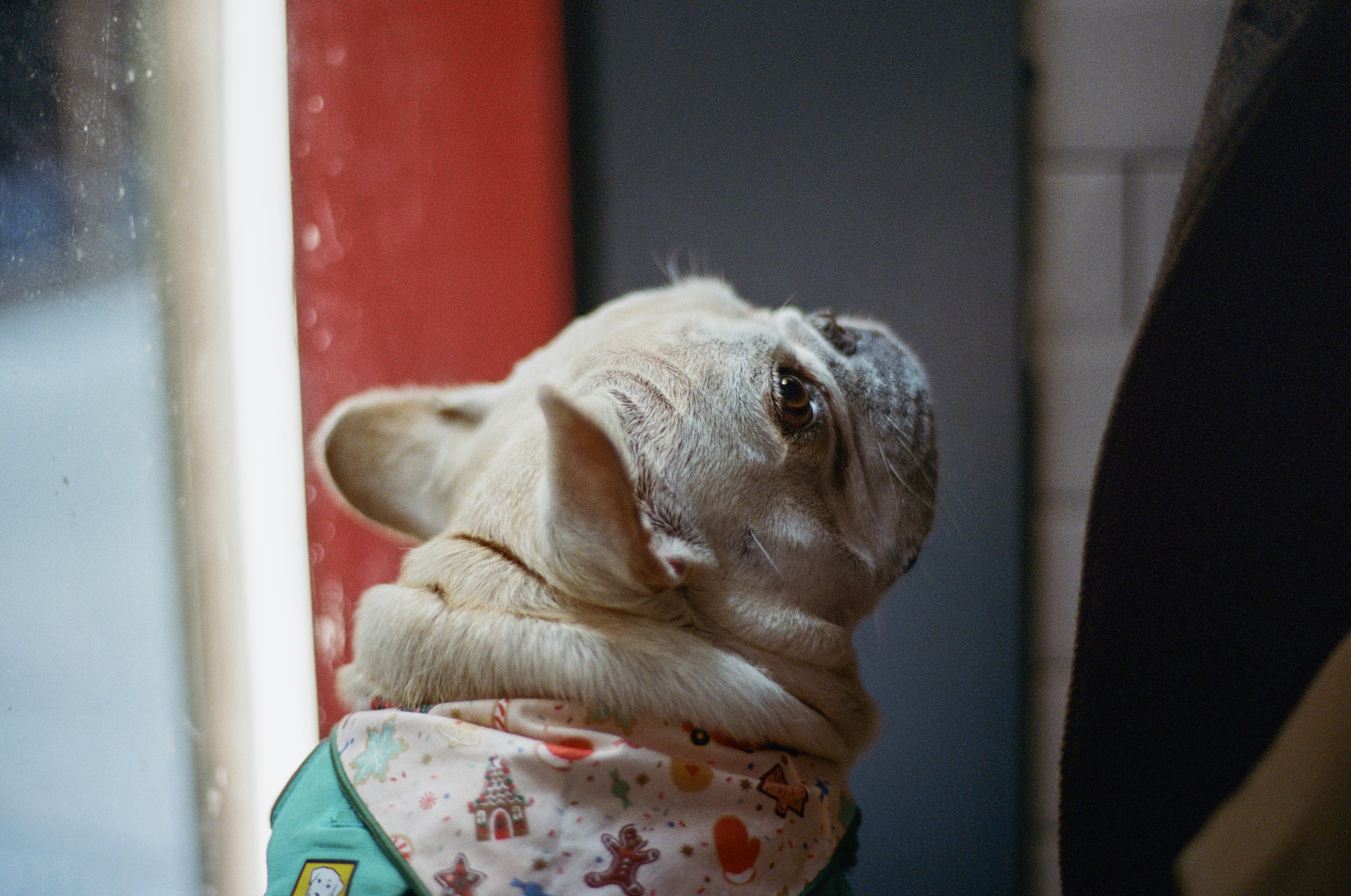 Photo by zhenyao_photo