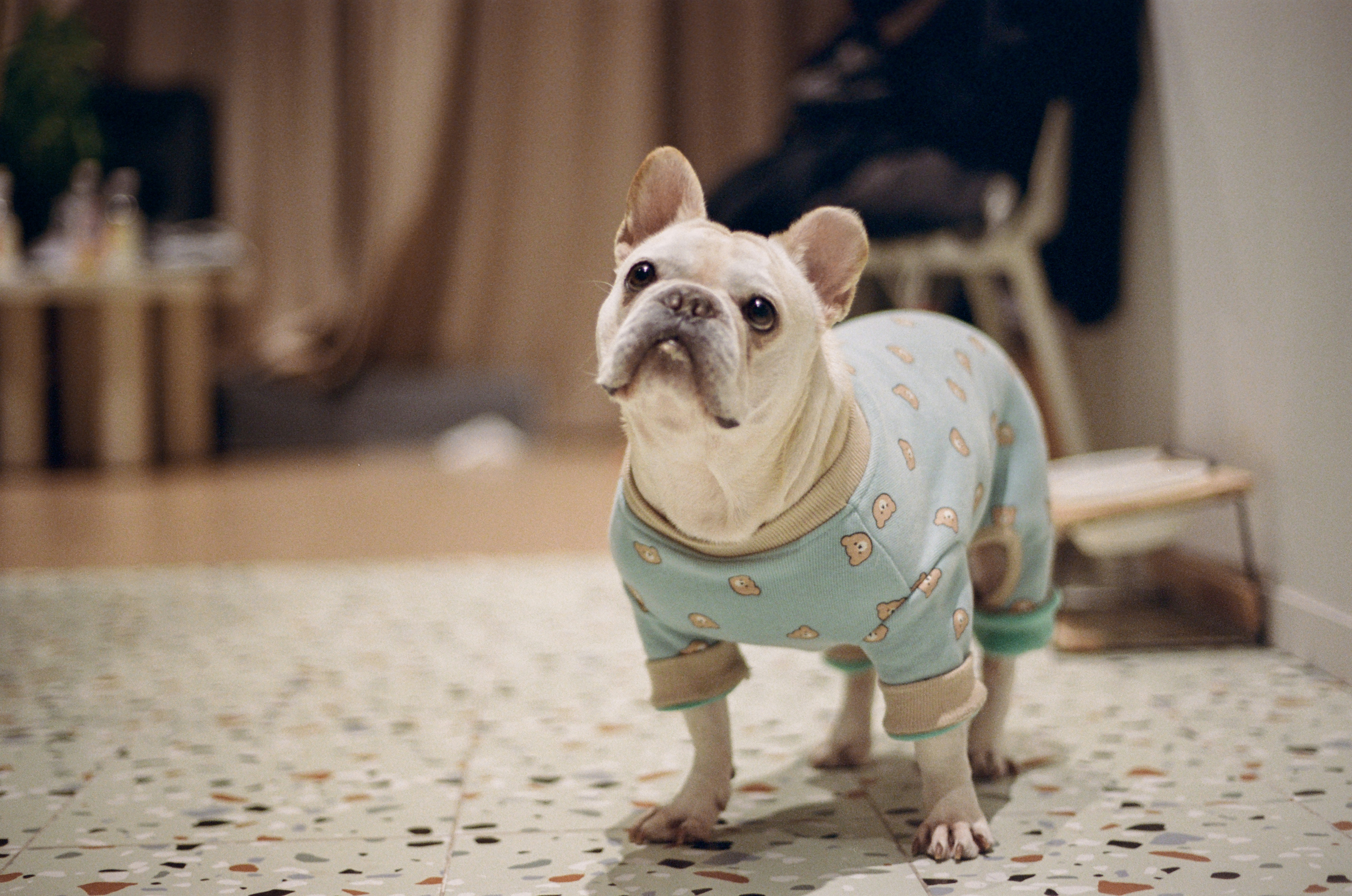 Photo by zhenyao_photo