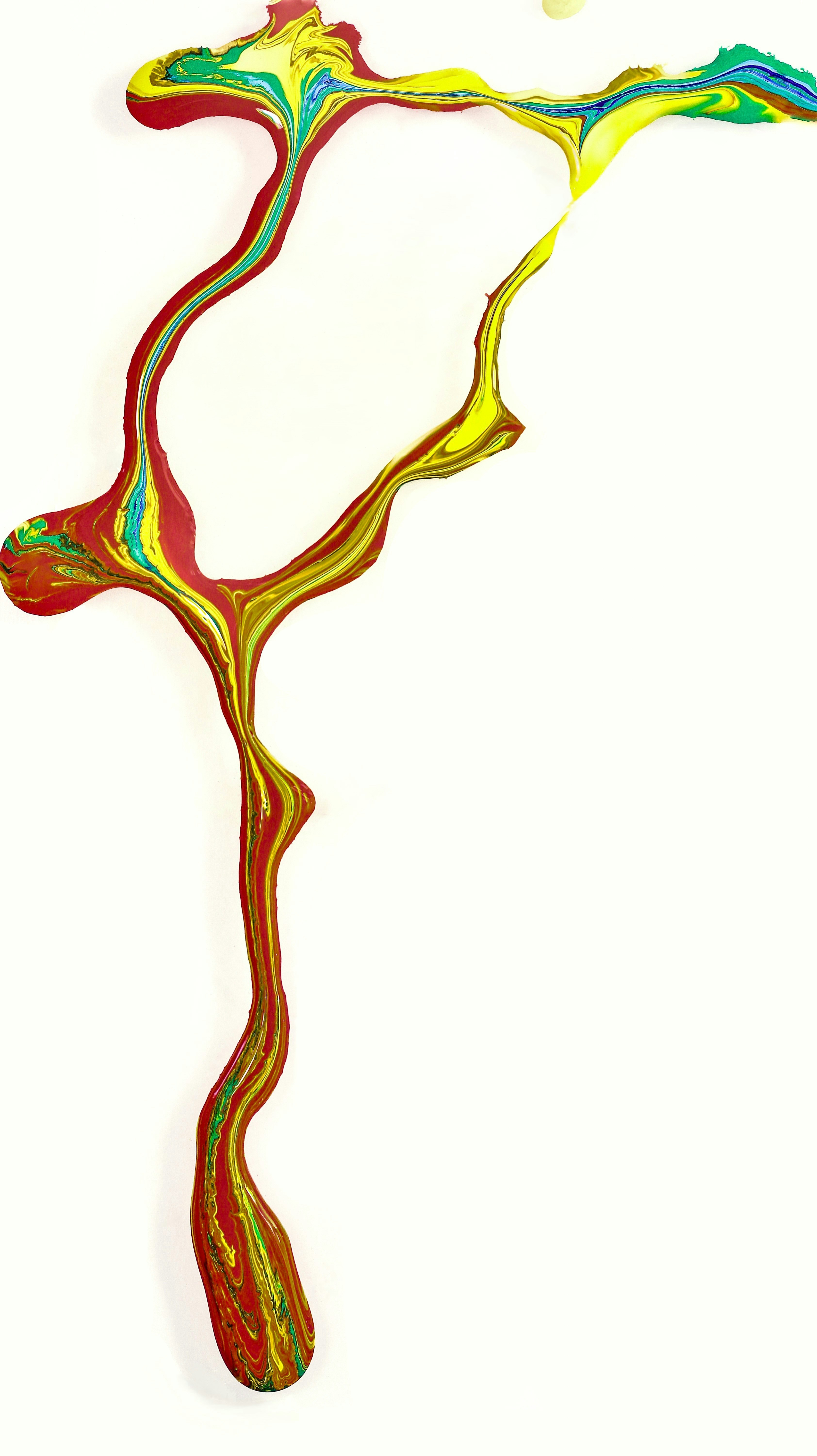 Endocrine Feedback Loop