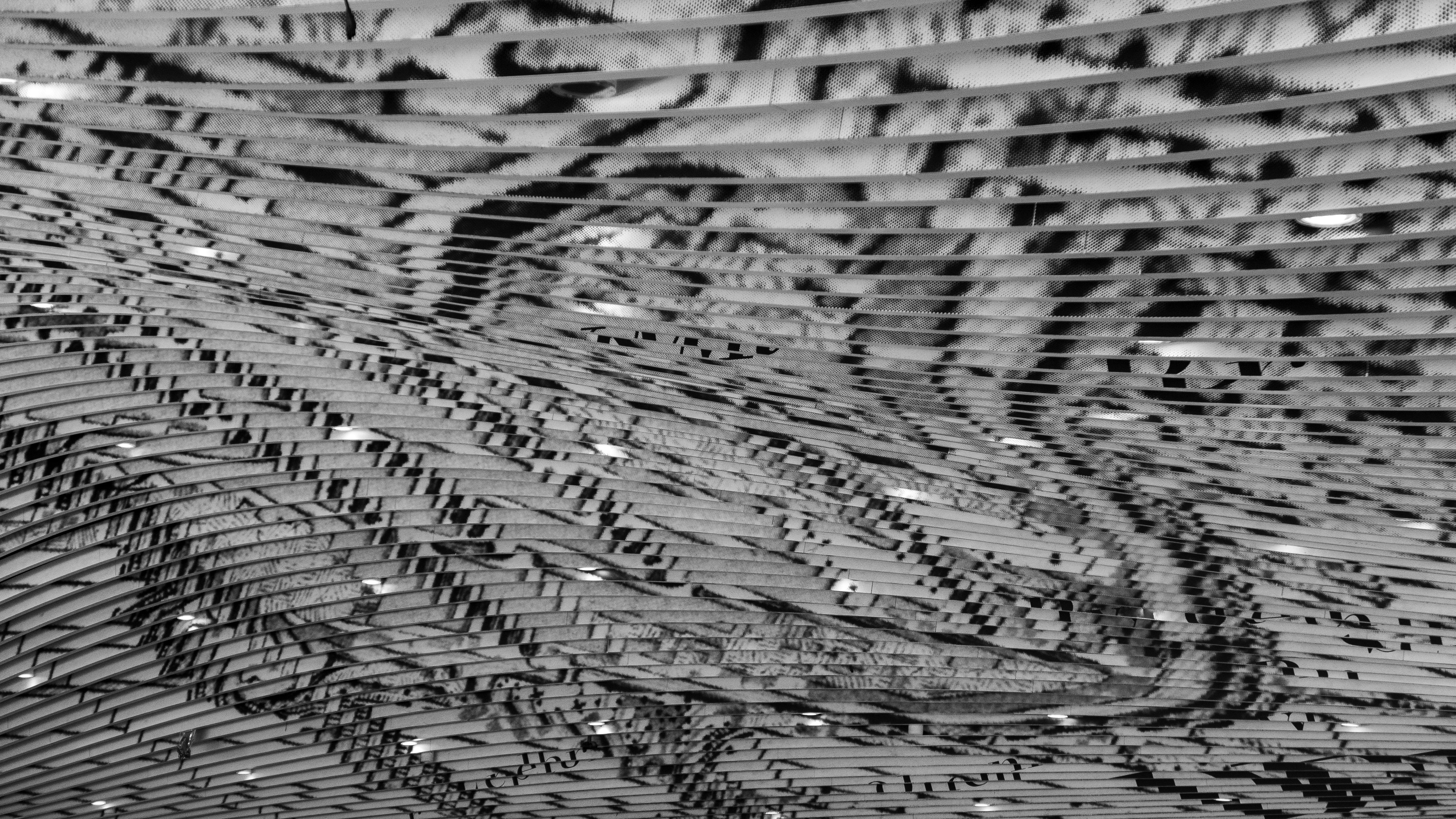 Photo by leonbredella