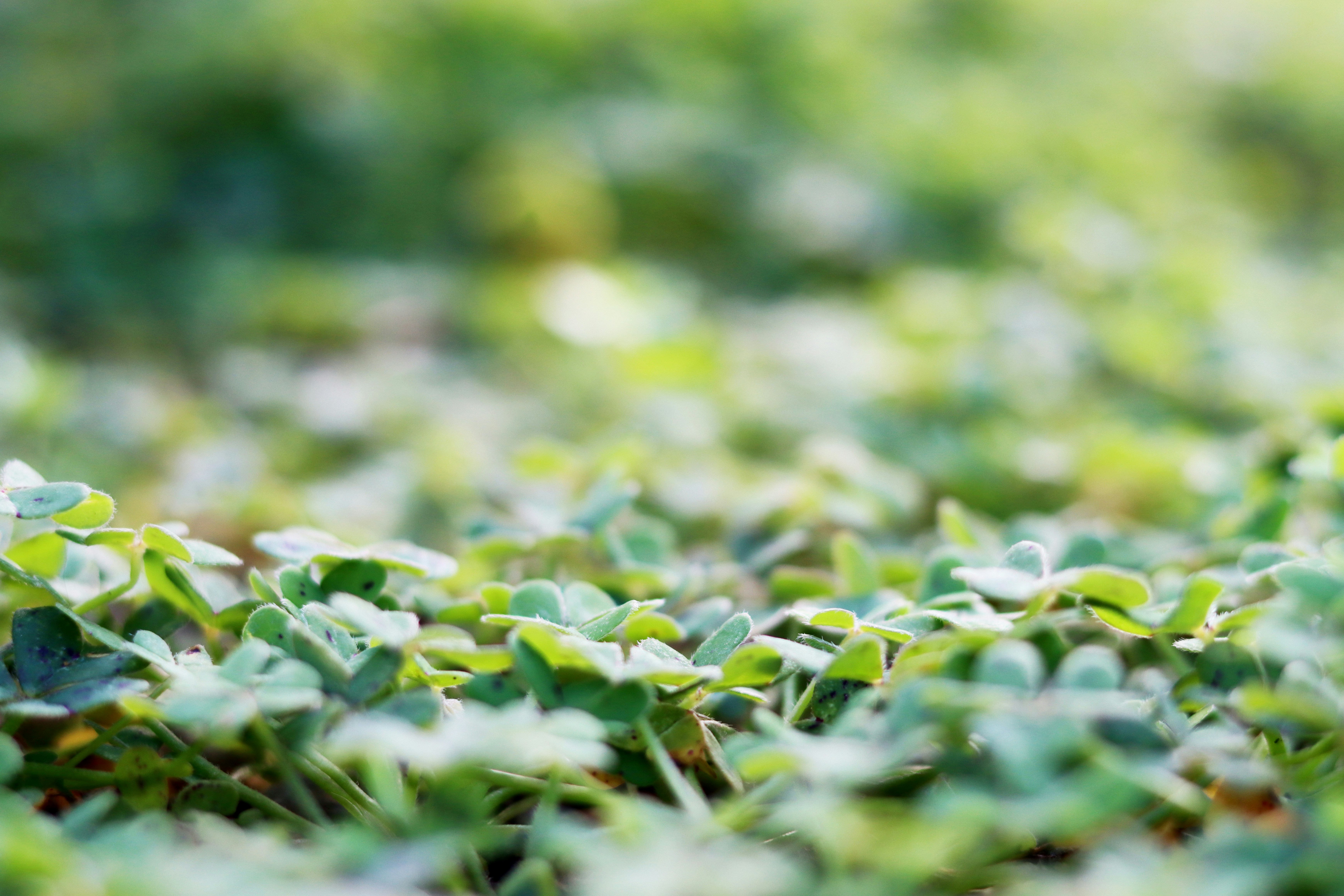 Photo by carolinagrants