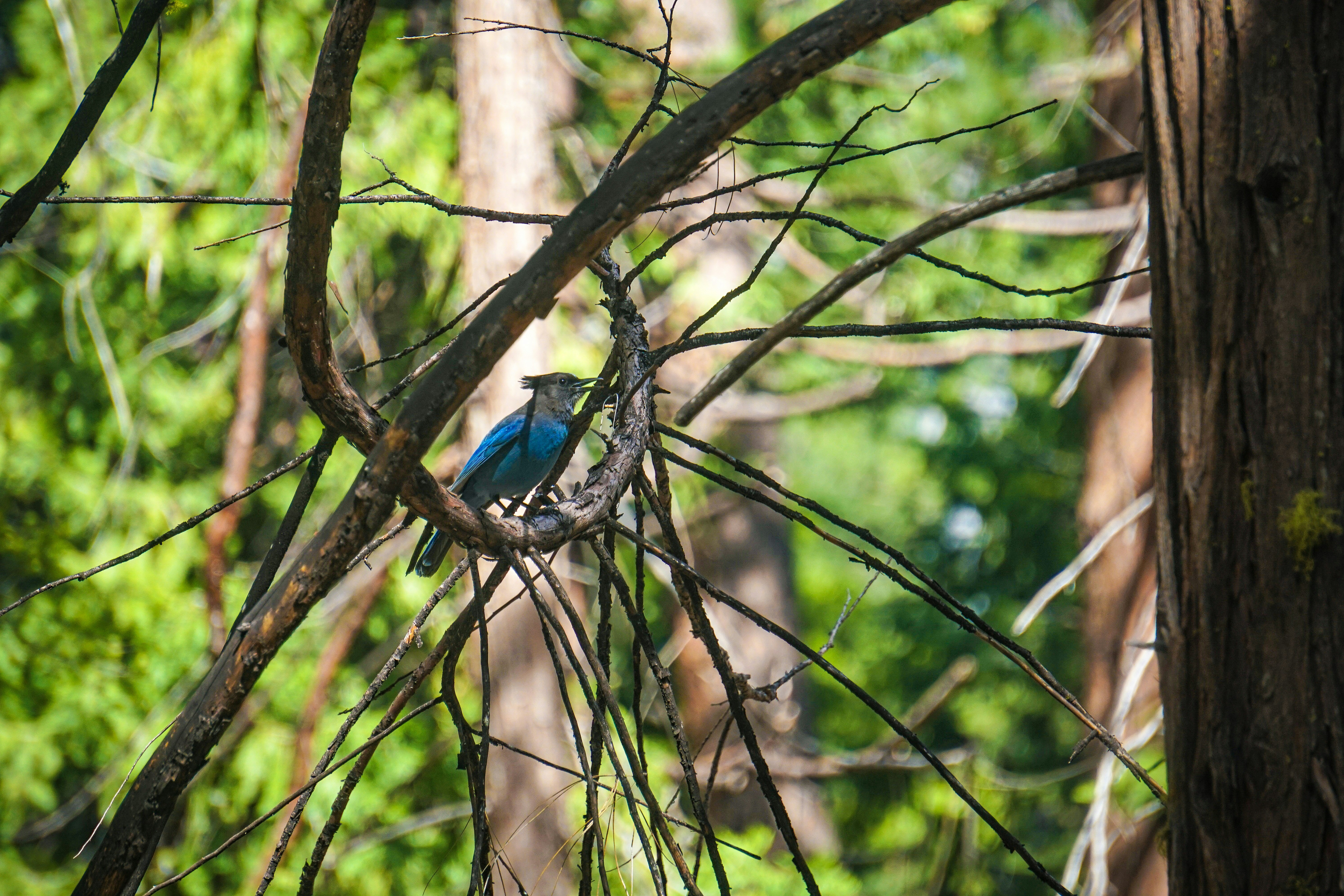 Photo by pmayorphotos