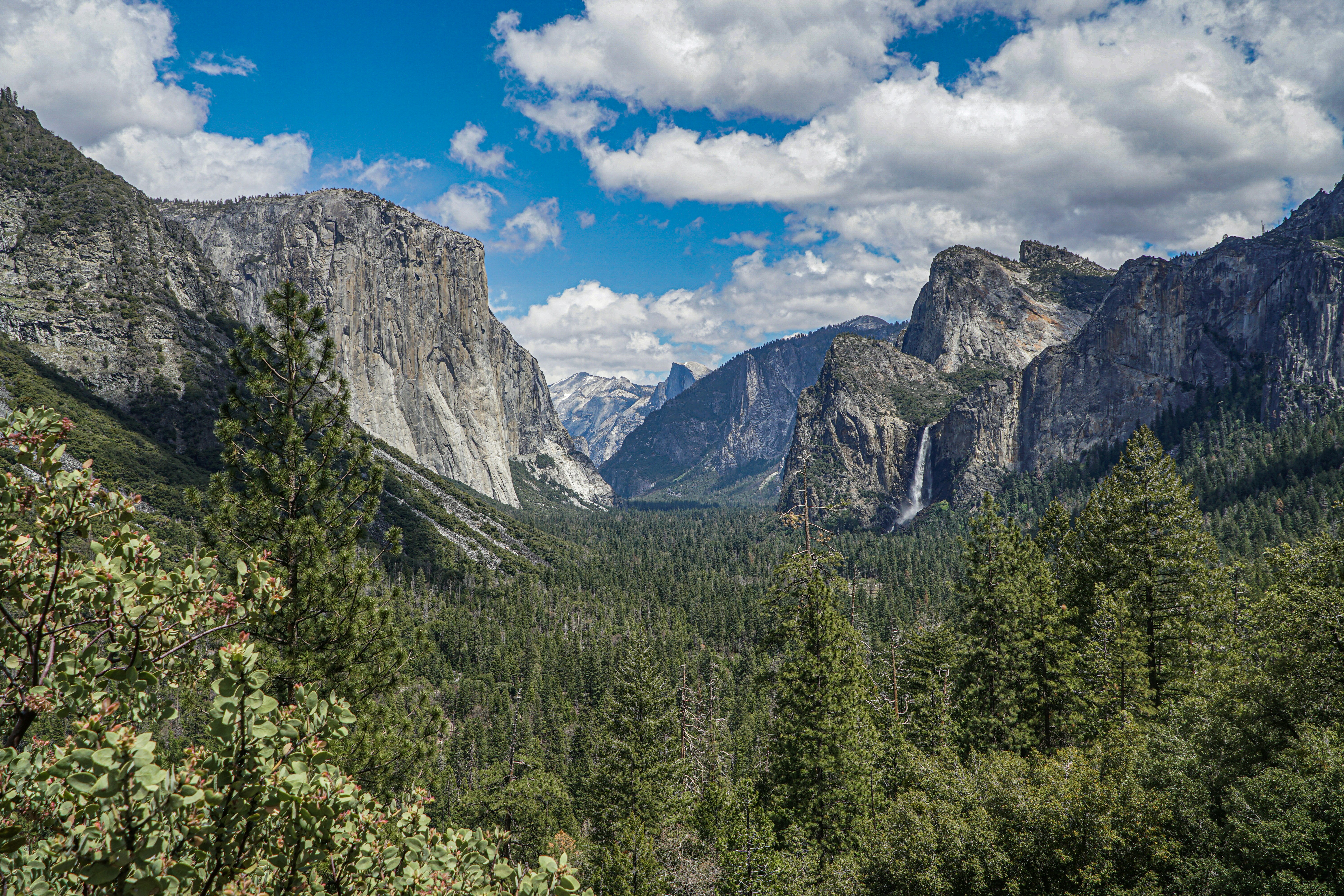 Photo by pmayorphotos