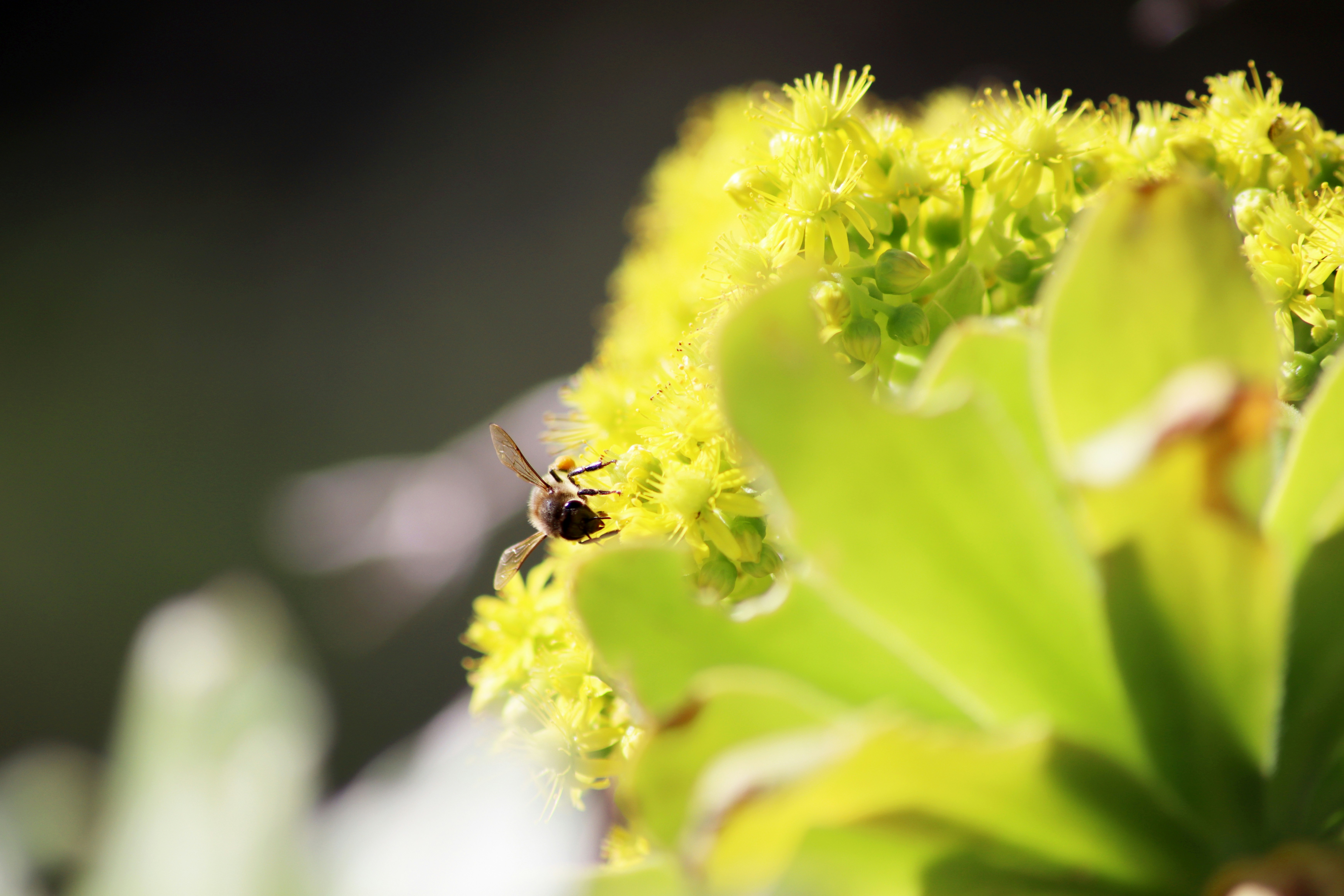 Photo by carolinagrants