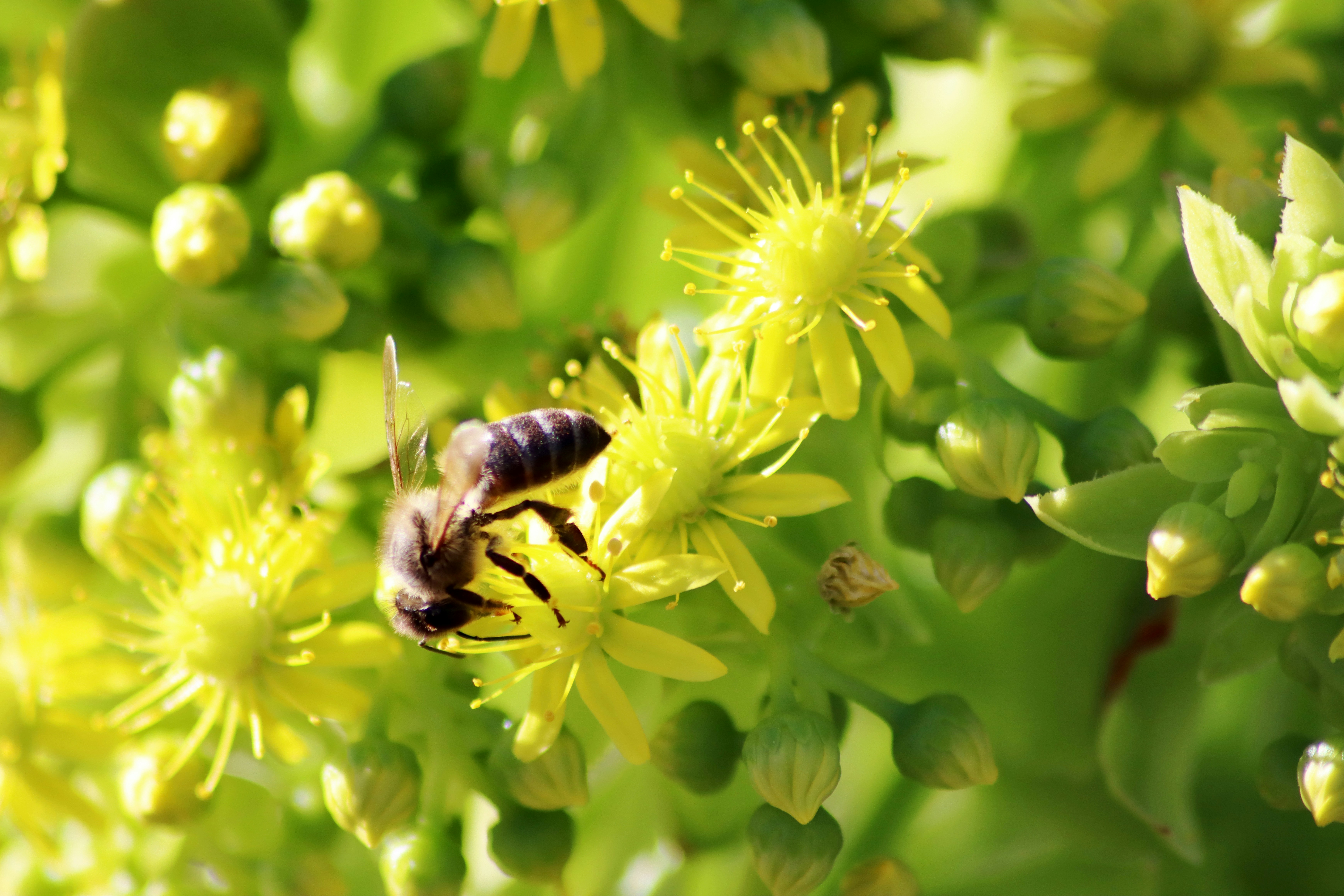 Photo by carolinagrants