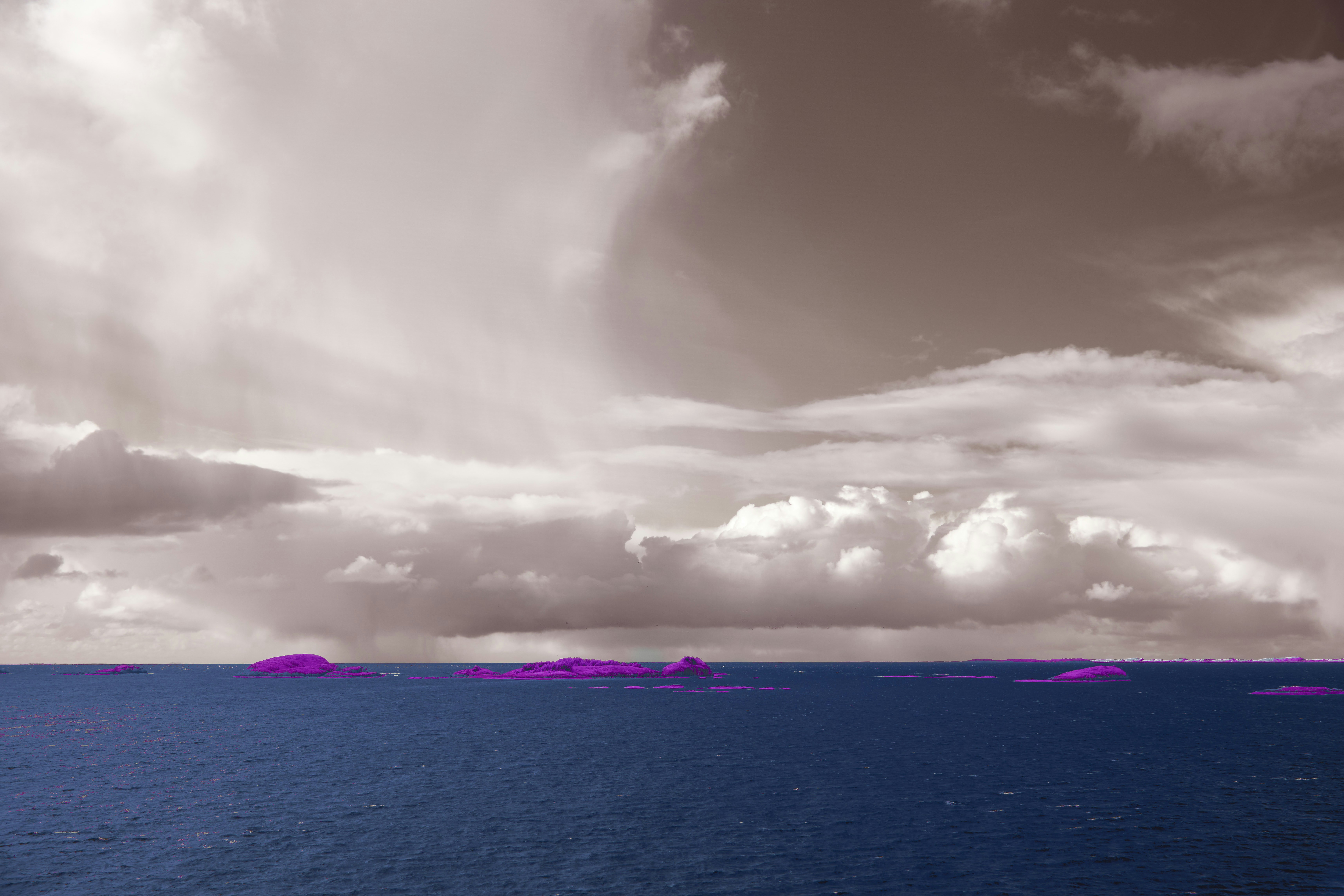 Photo by wolfgang_hasselmann