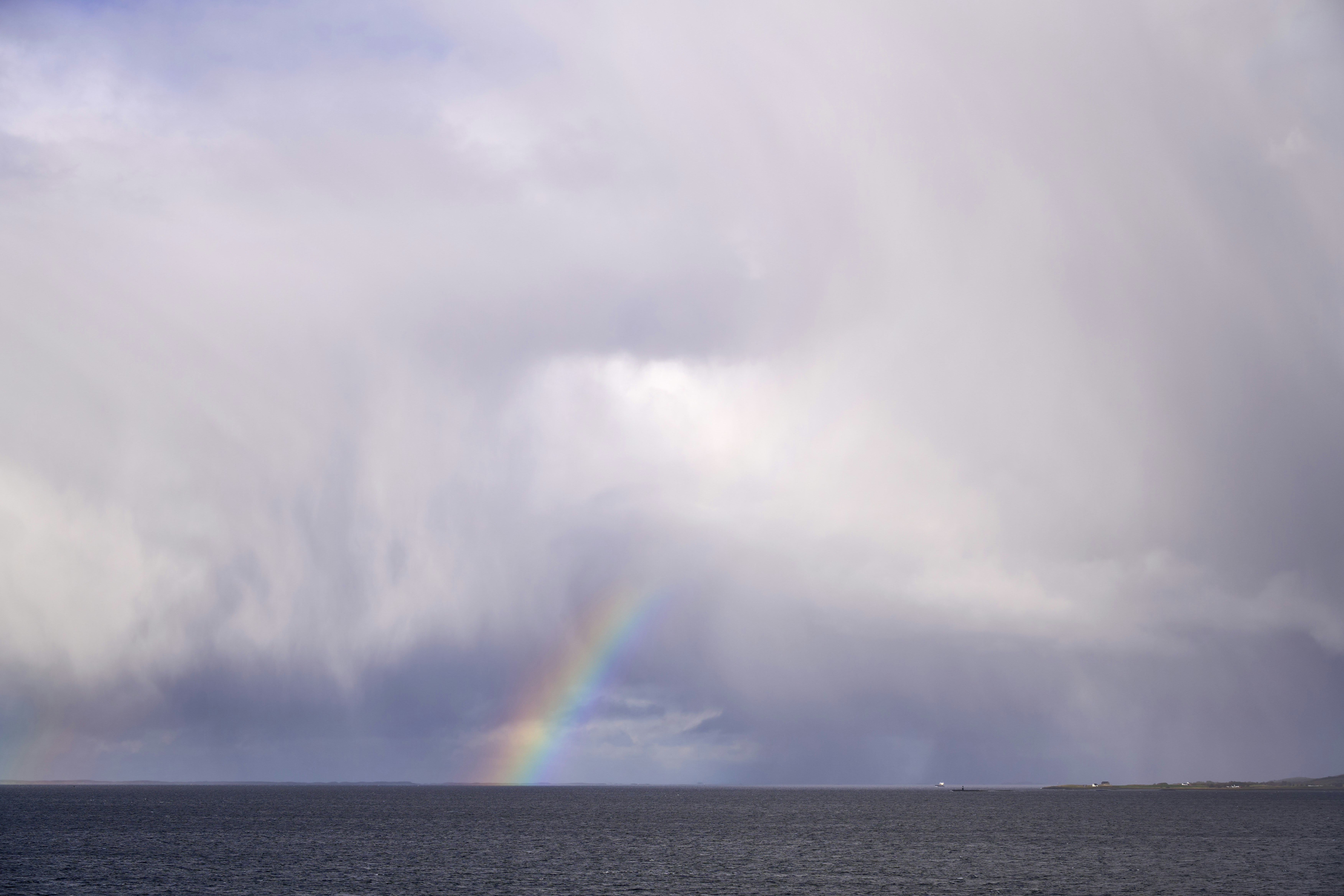 Photo by wolfgang_hasselmann