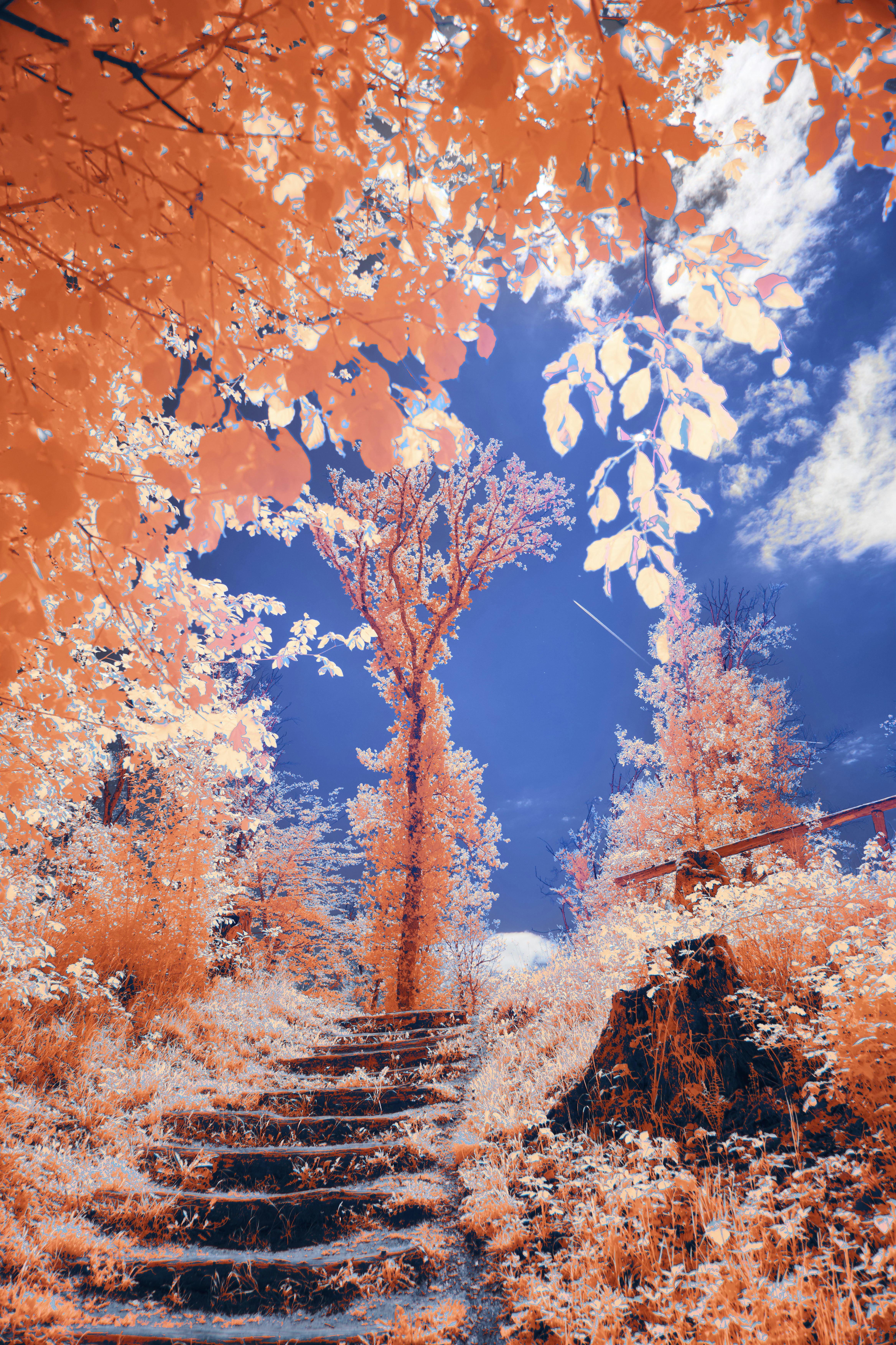 Photo by wolfgang_hasselmann