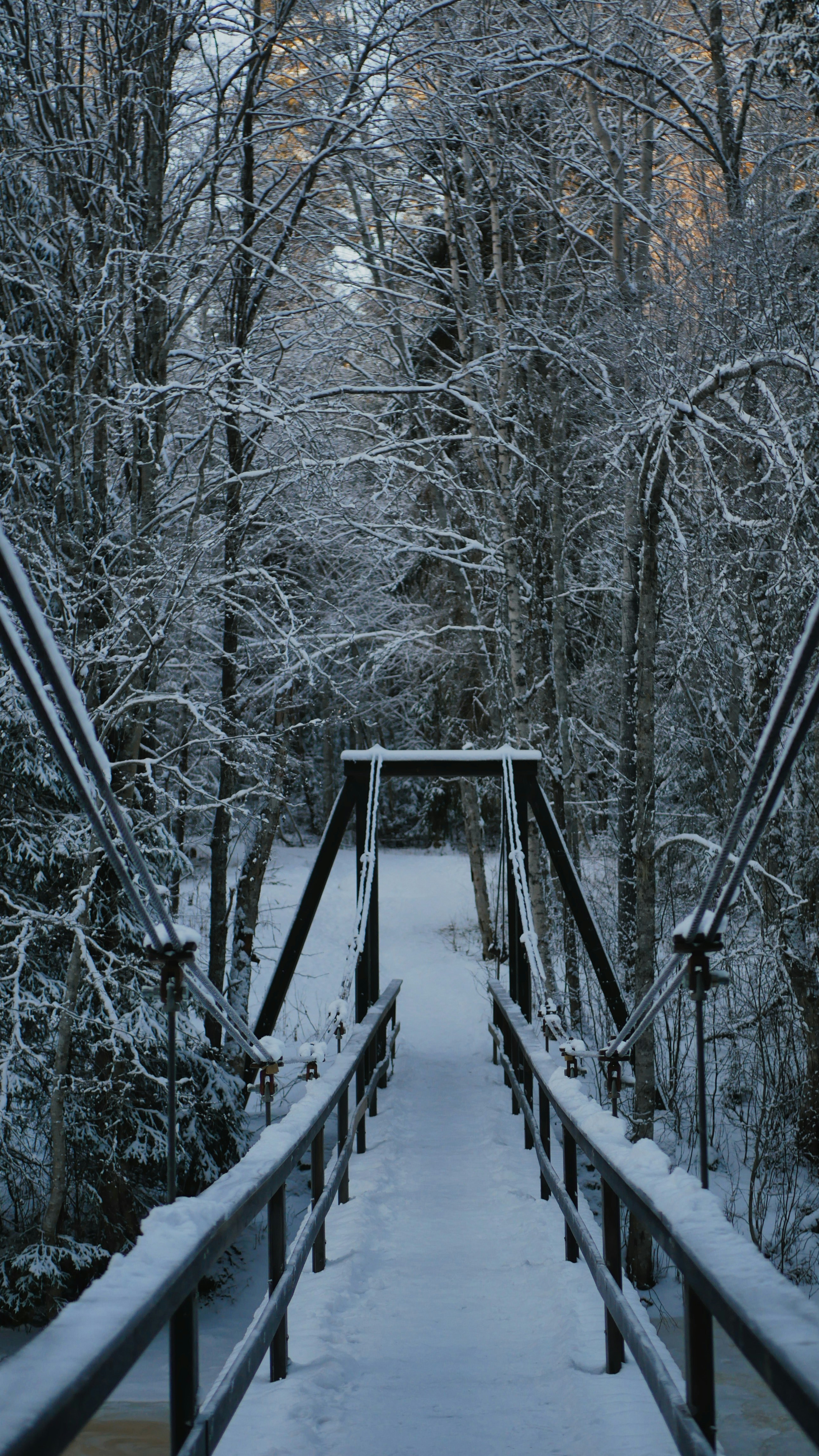 Photo by route2tushar