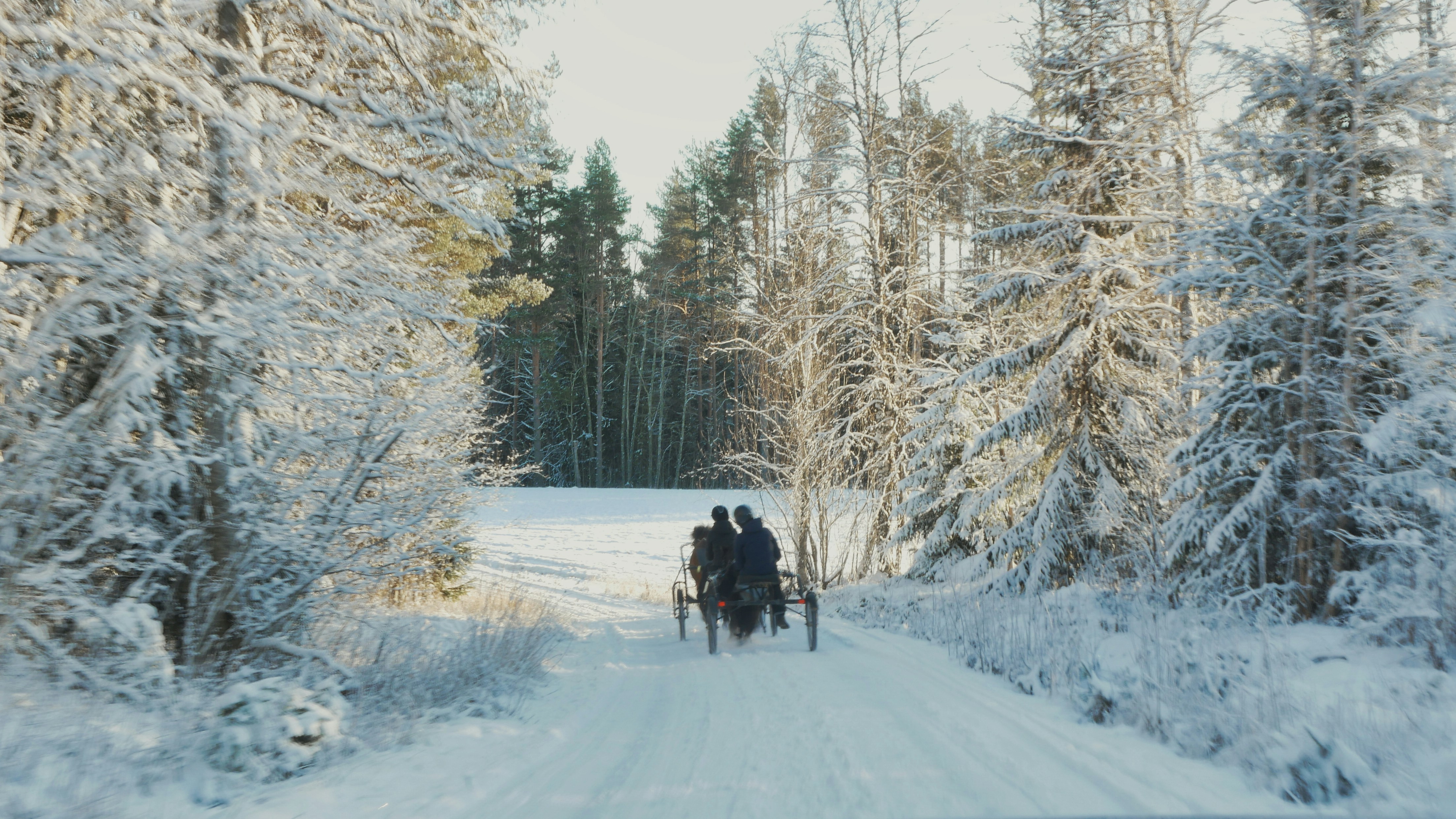 winter sleigh ride fashion wallpaper, wallpaper, Best Outfits for Sleigh Rides & Carriage Tours: Winter Style Guide 5