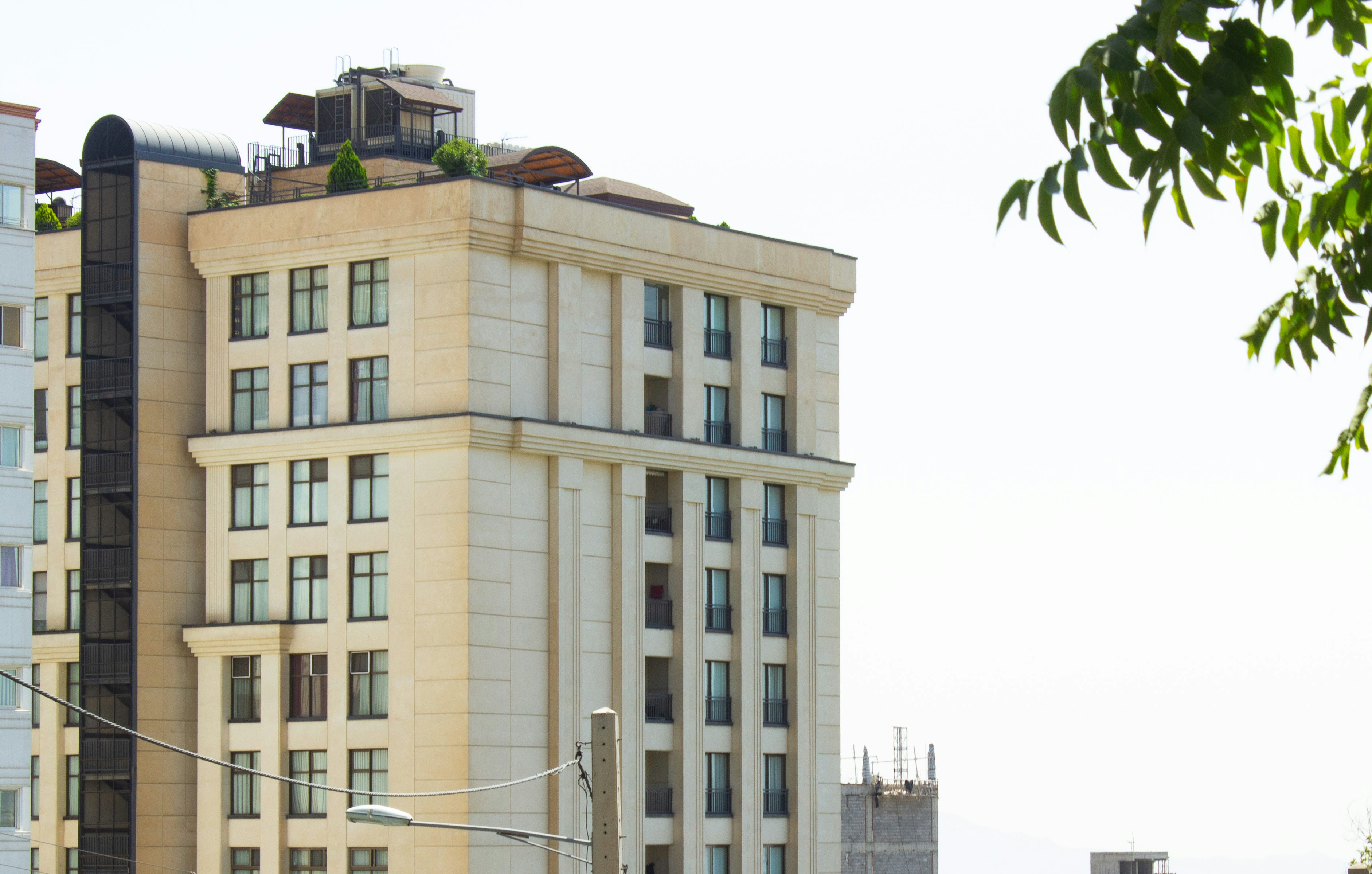 Photo by elham_frame