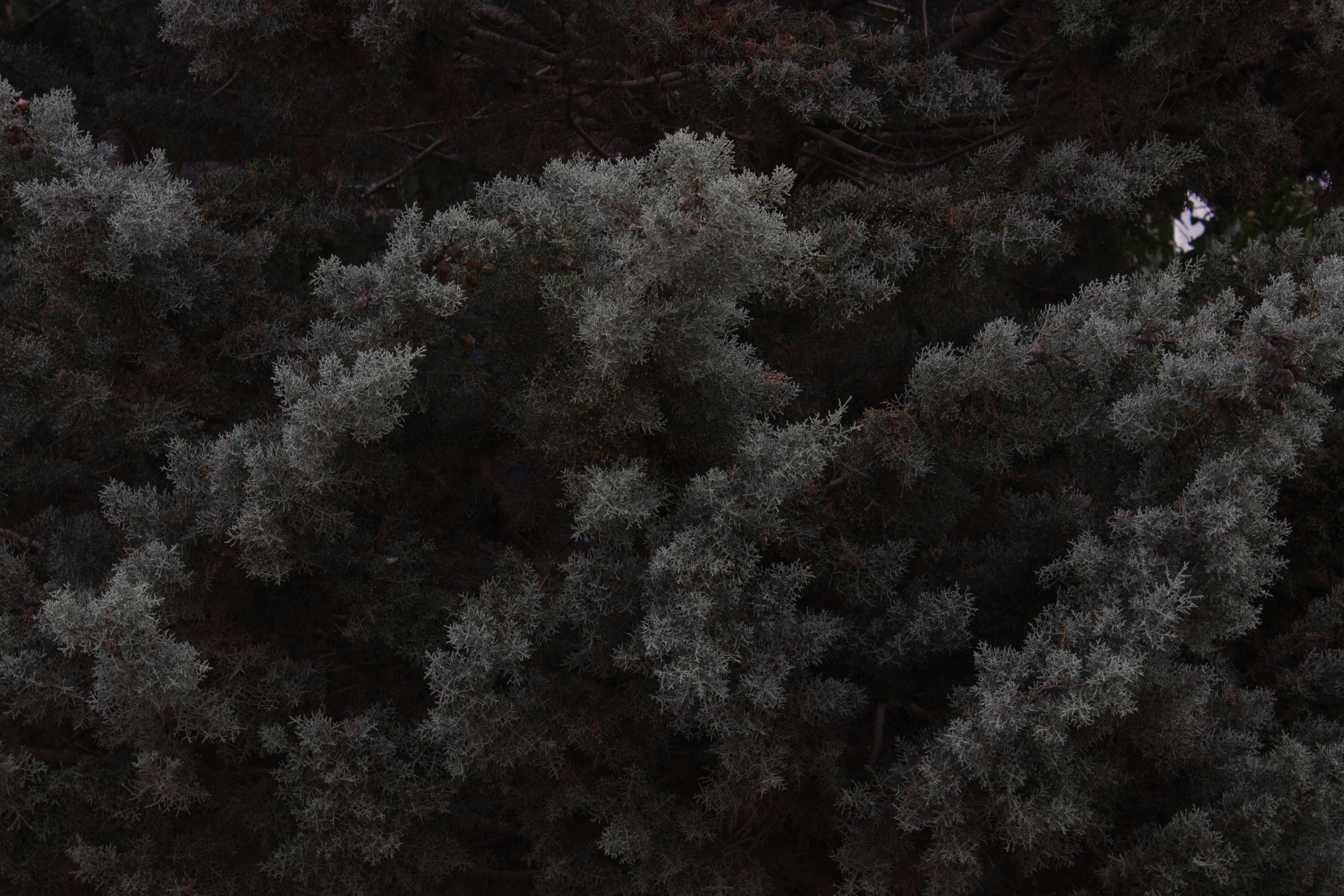 Photo by elham_frame