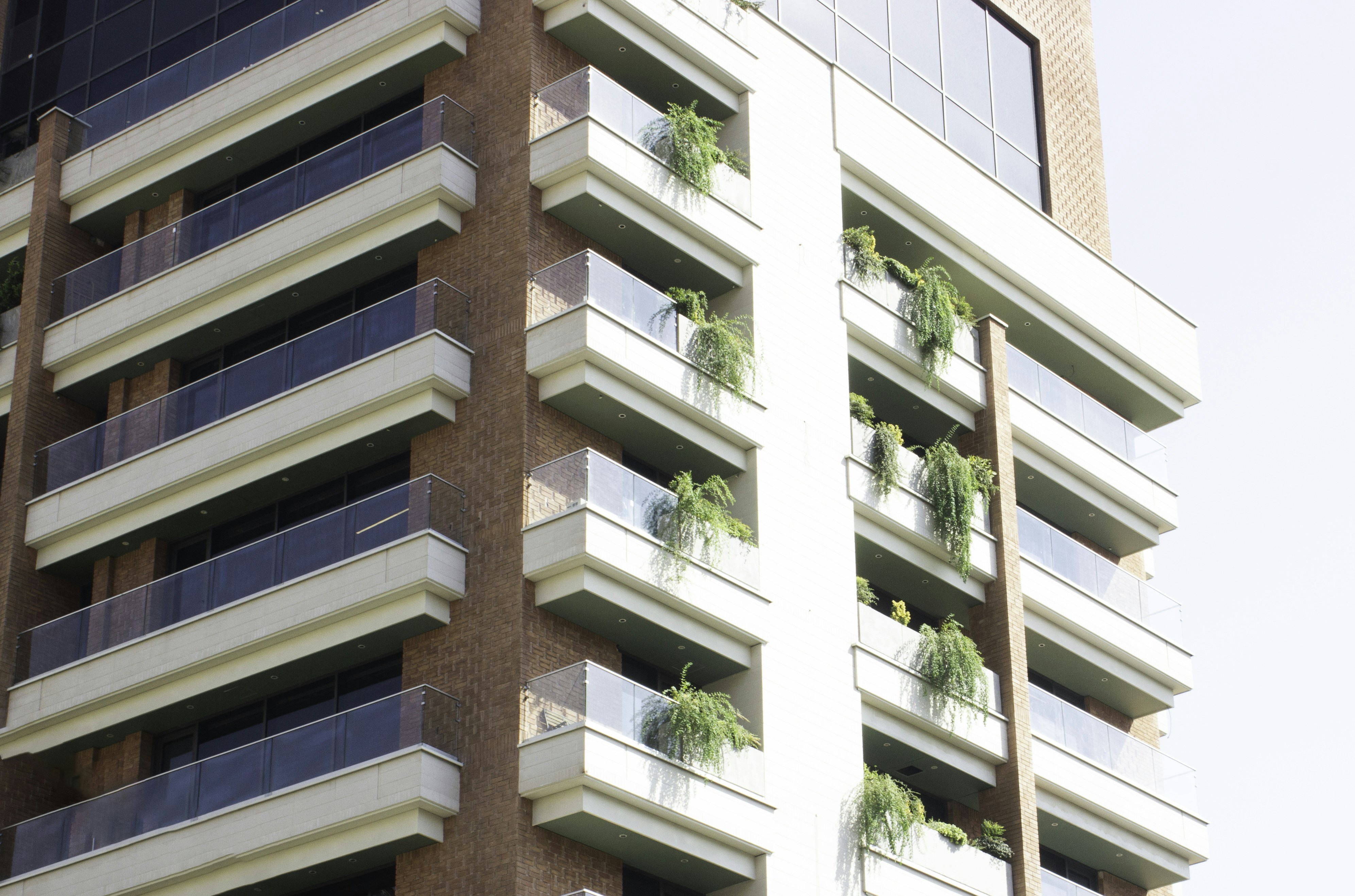 Photo by elham_frame