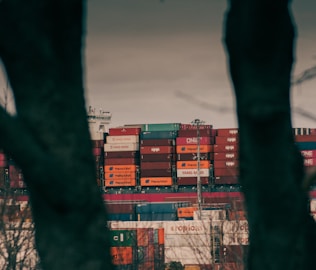 A large cargo ship in a harbor with trees in the foreground