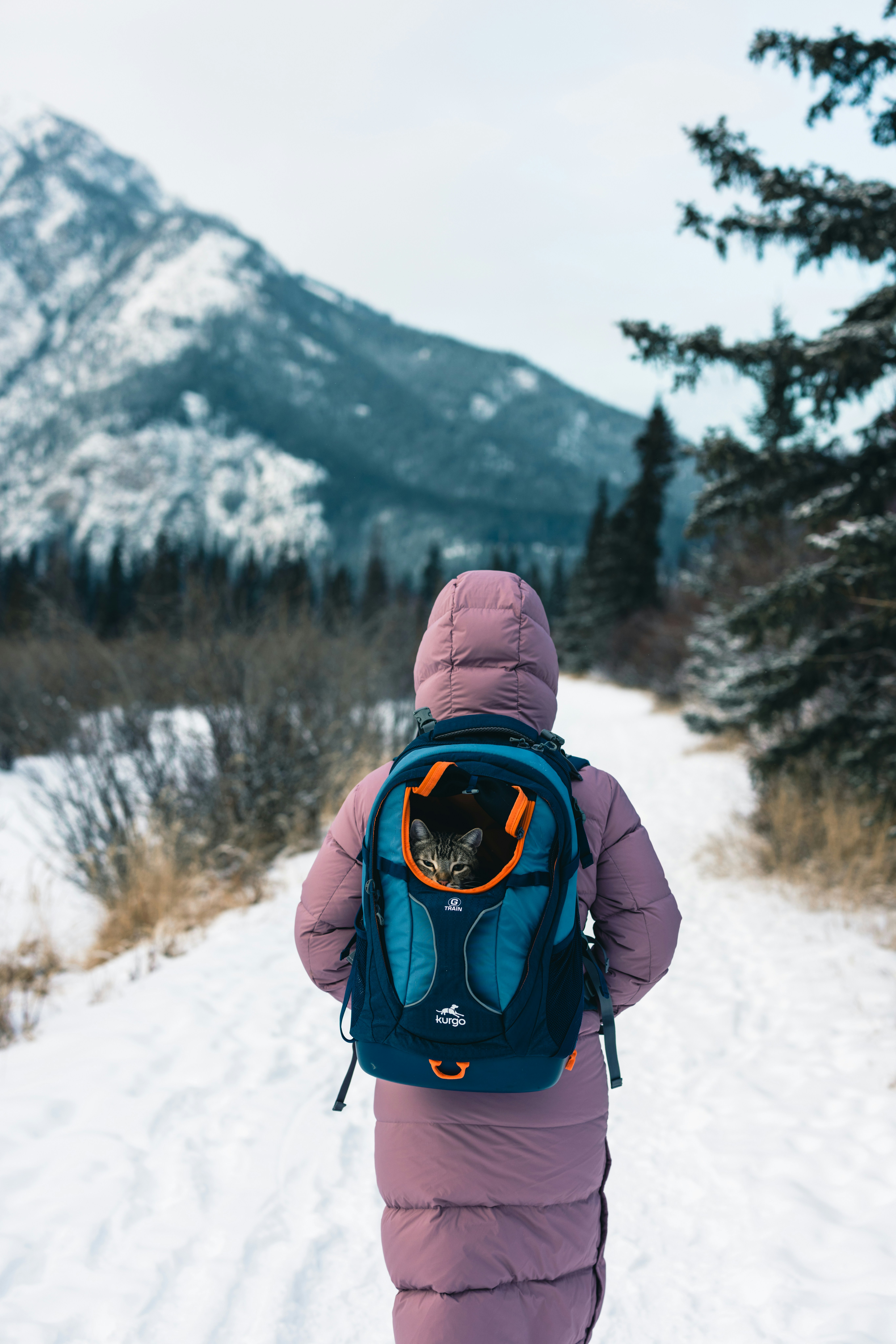 Photo by lureofadventure