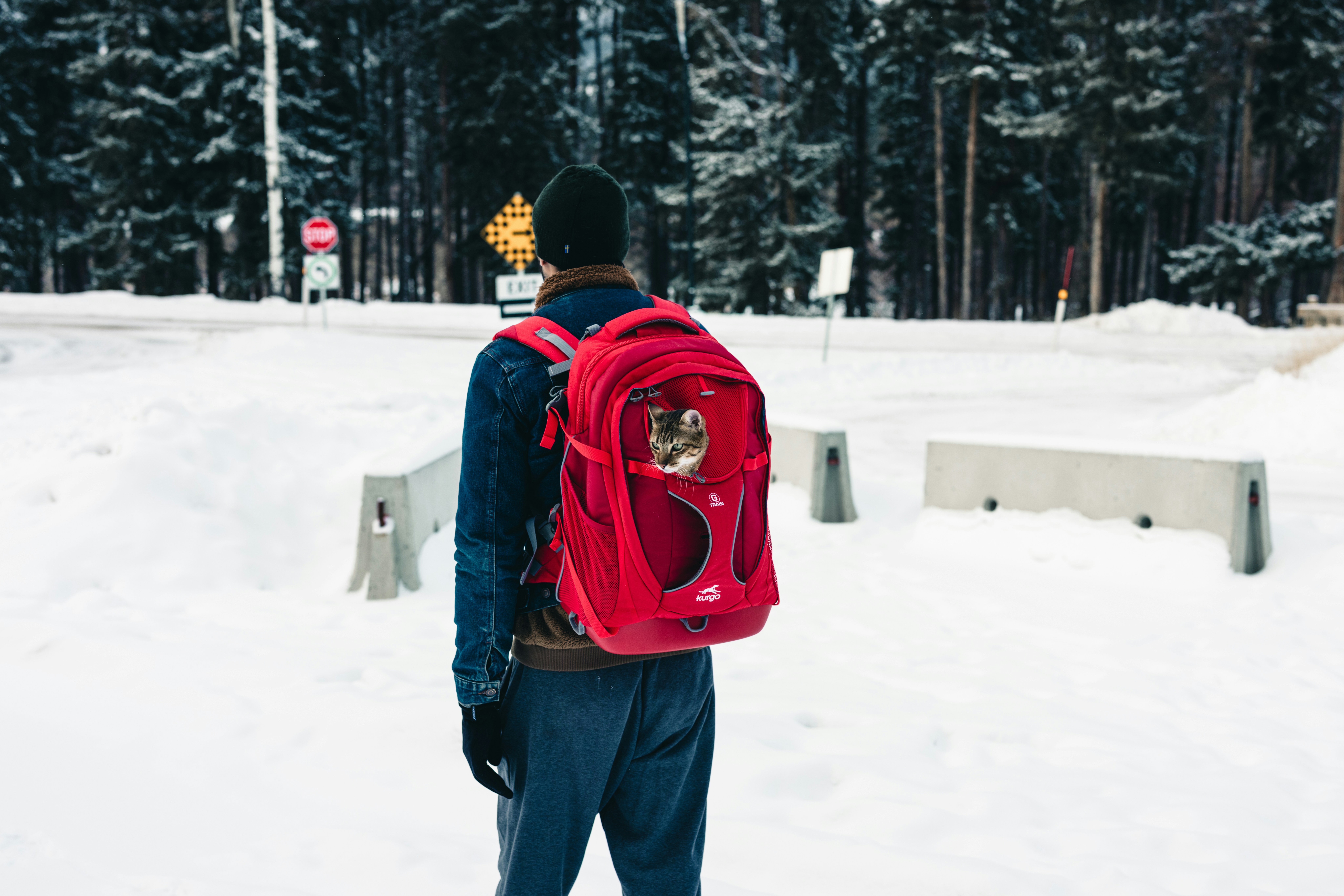 Photo by lureofadventure