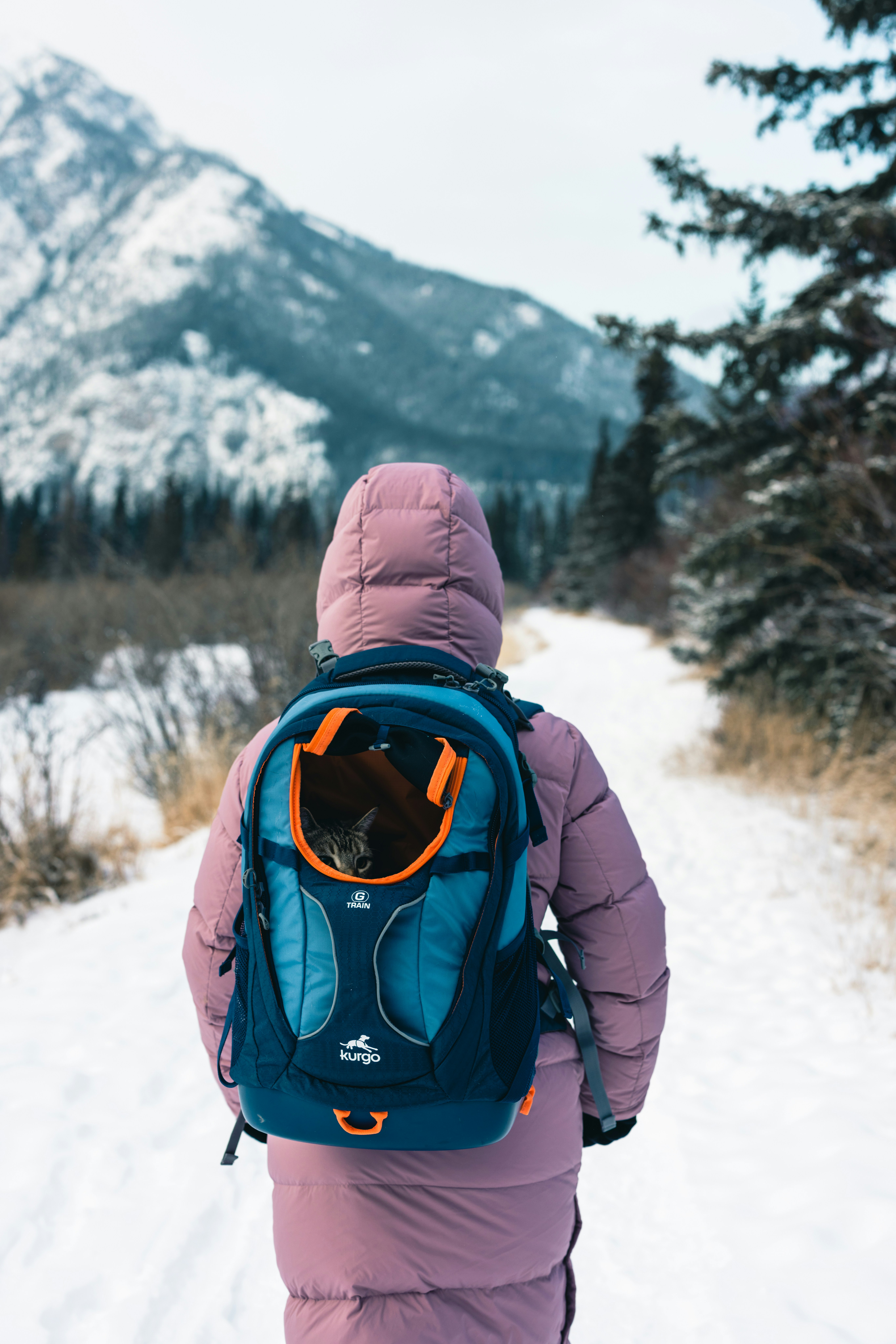 Photo by lureofadventure