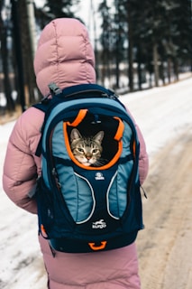 A cat in a backpack walking down a snow covered road