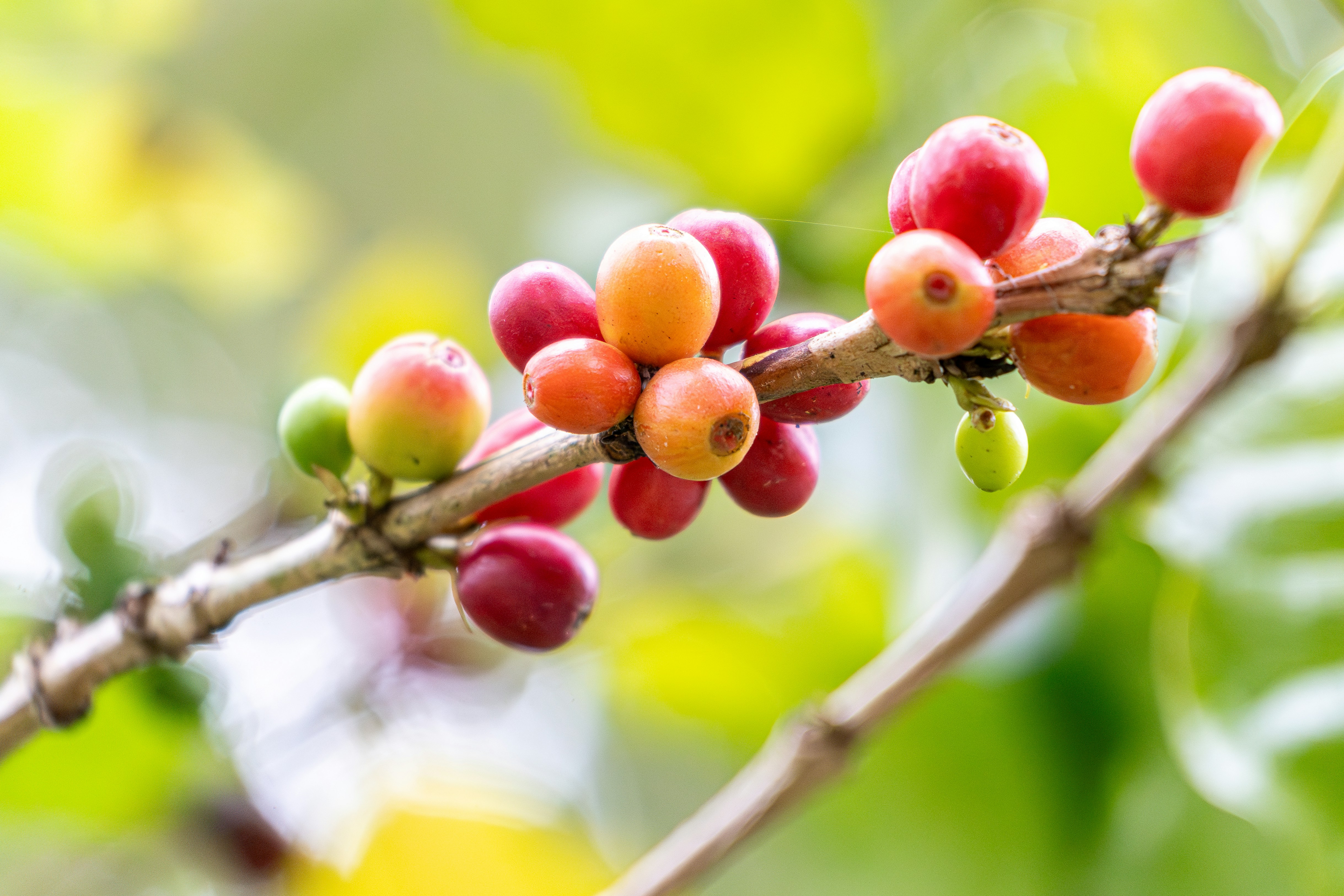 Photo by winstonchen