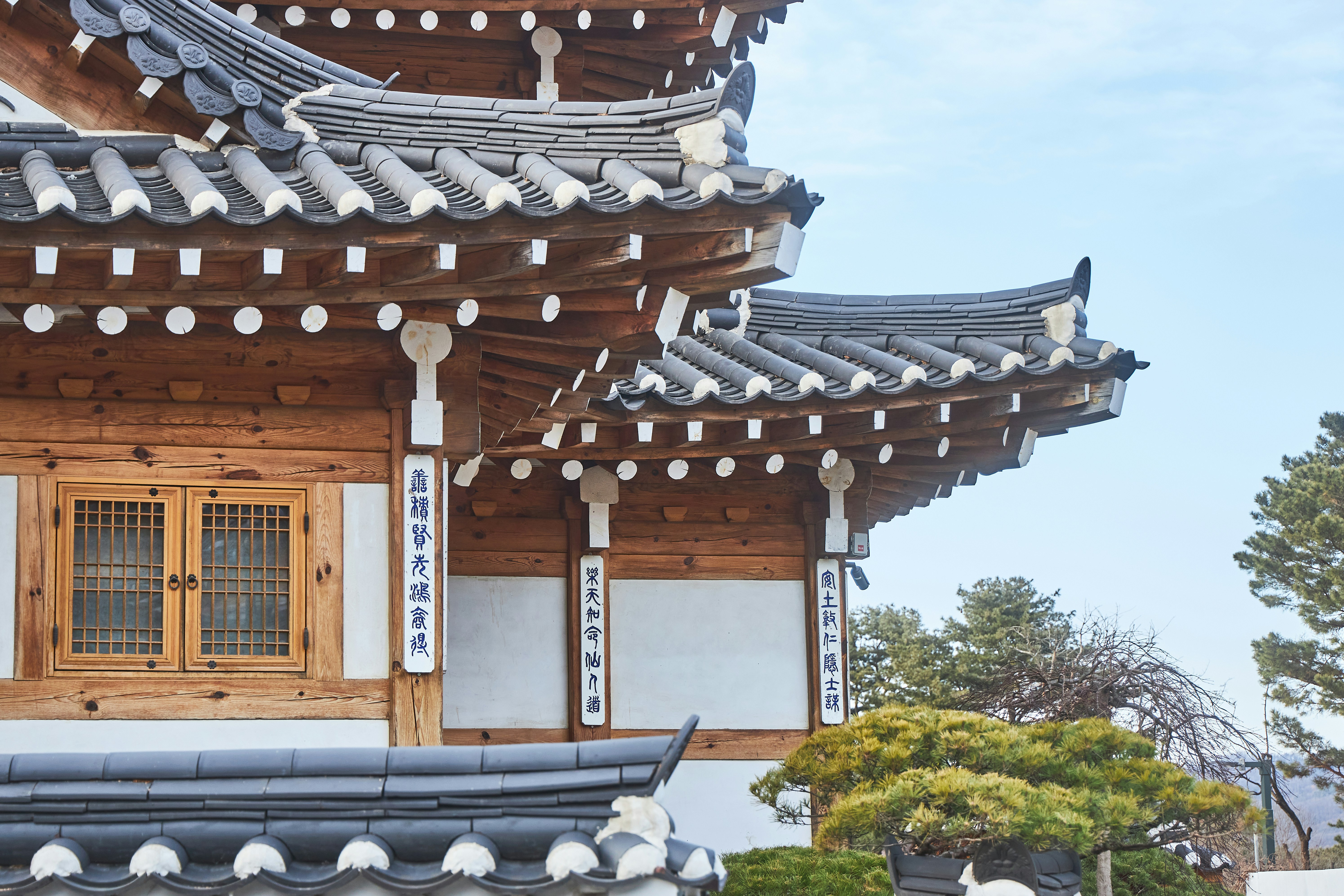 Photo by modernshoot