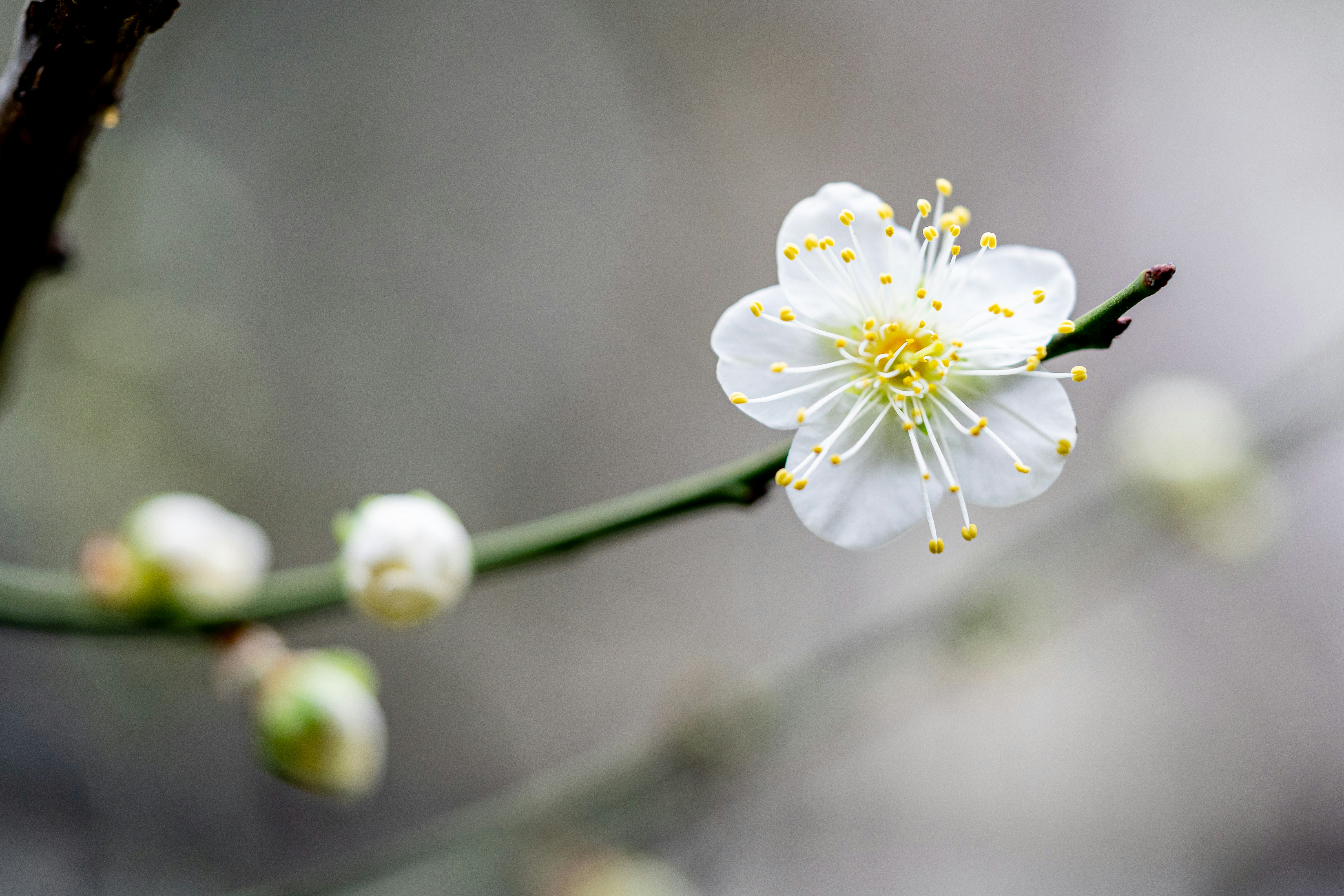 Photo by winstonchen