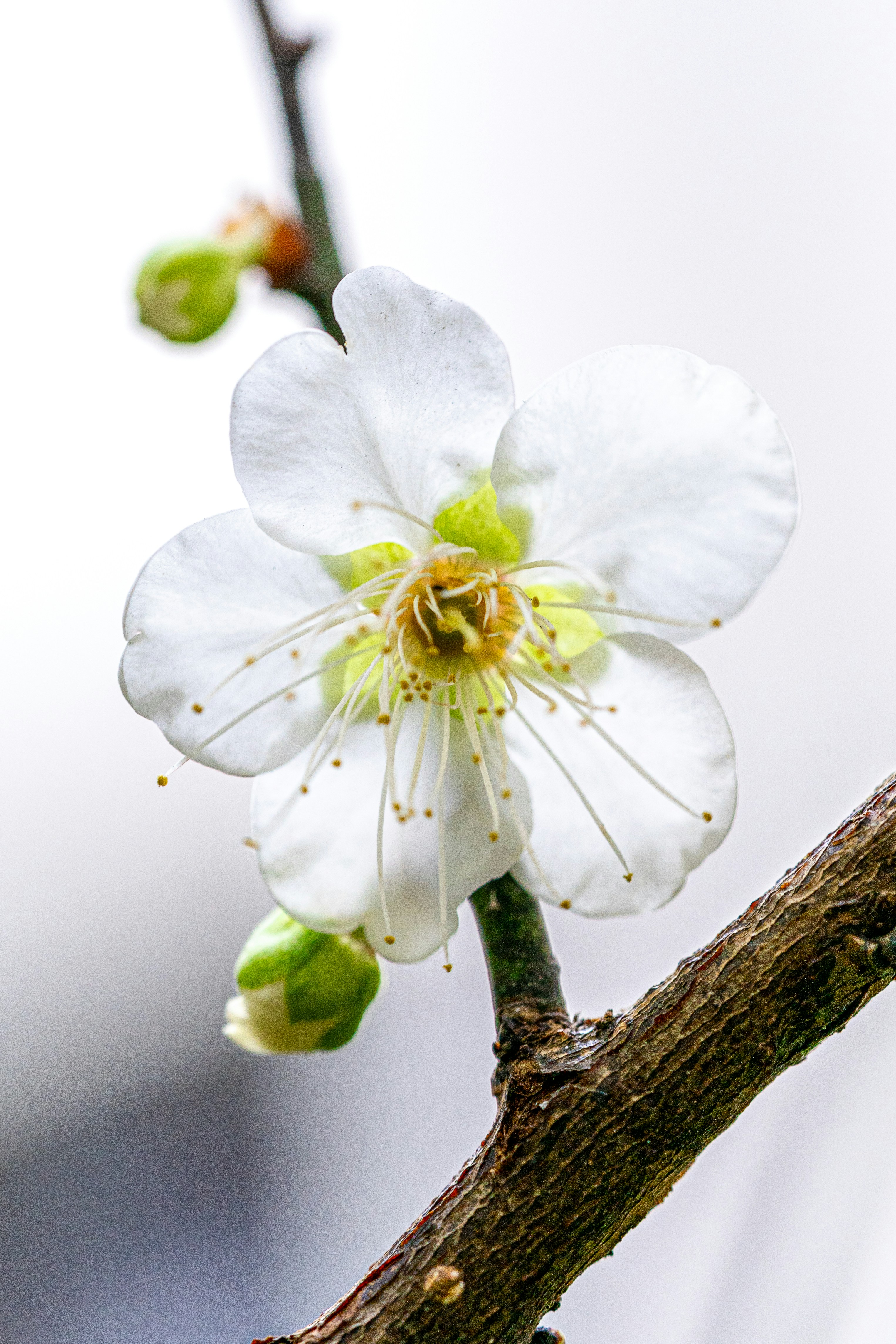 Photo by winstonchen