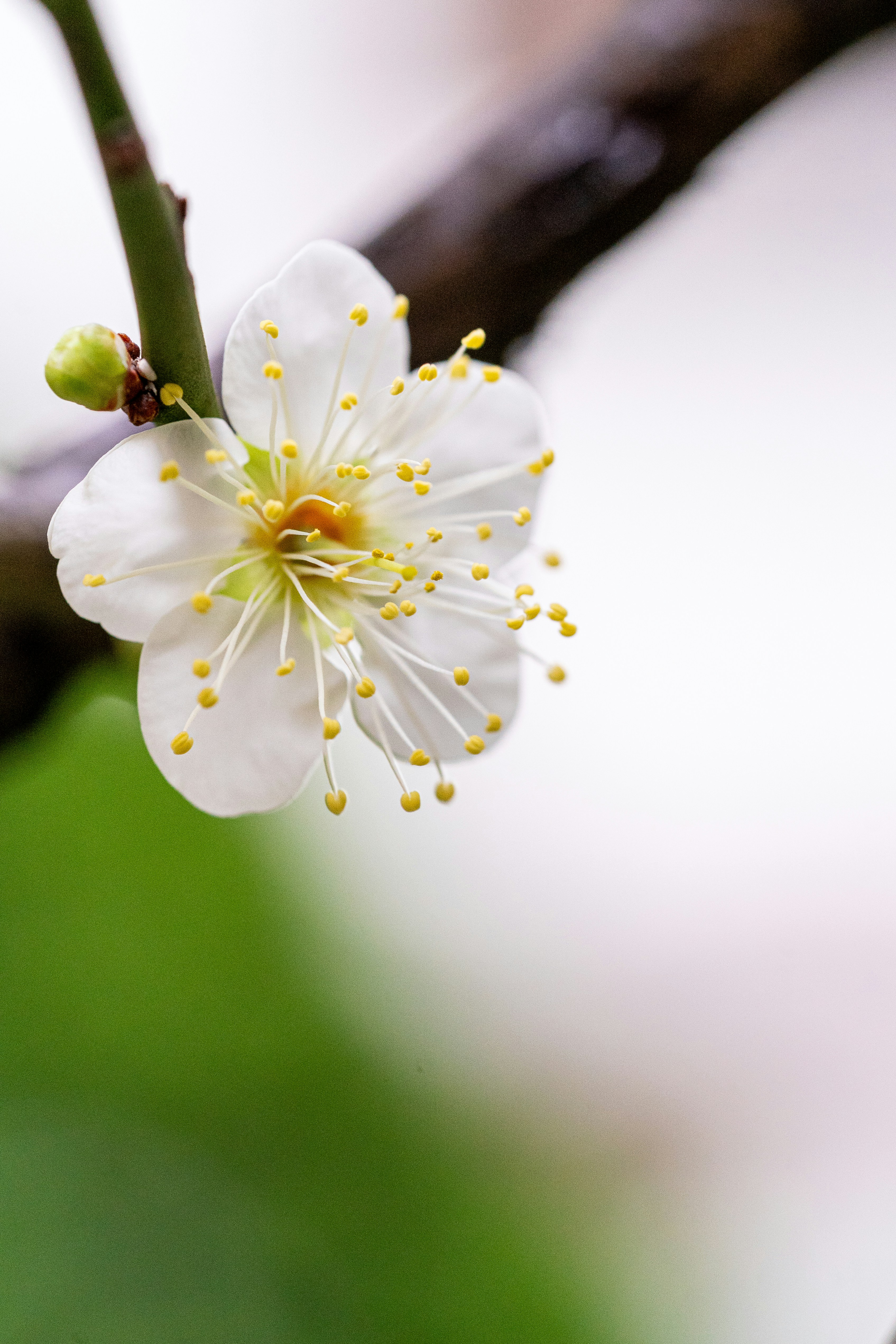 Photo by winstonchen