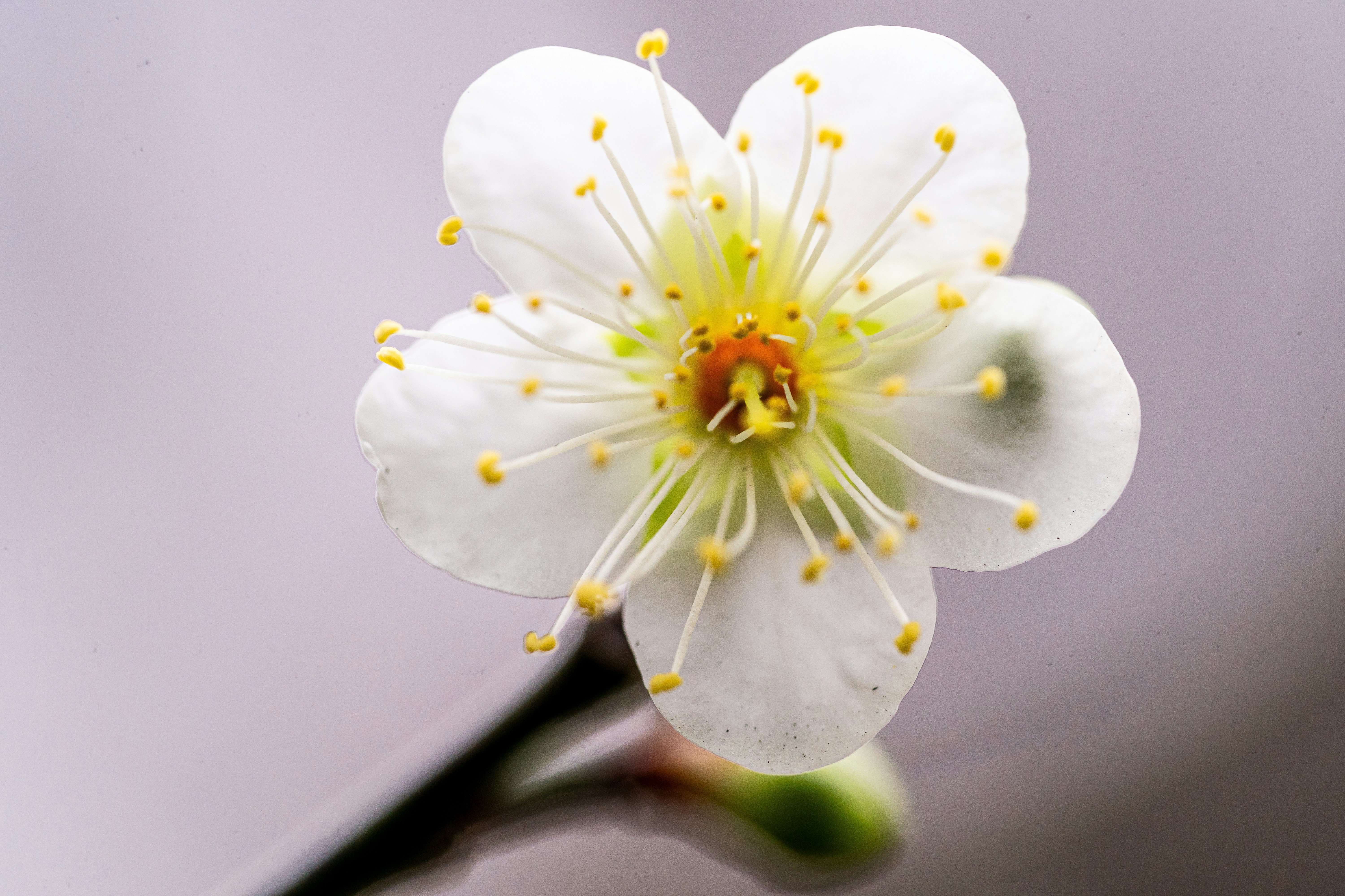 Photo by winstonchen