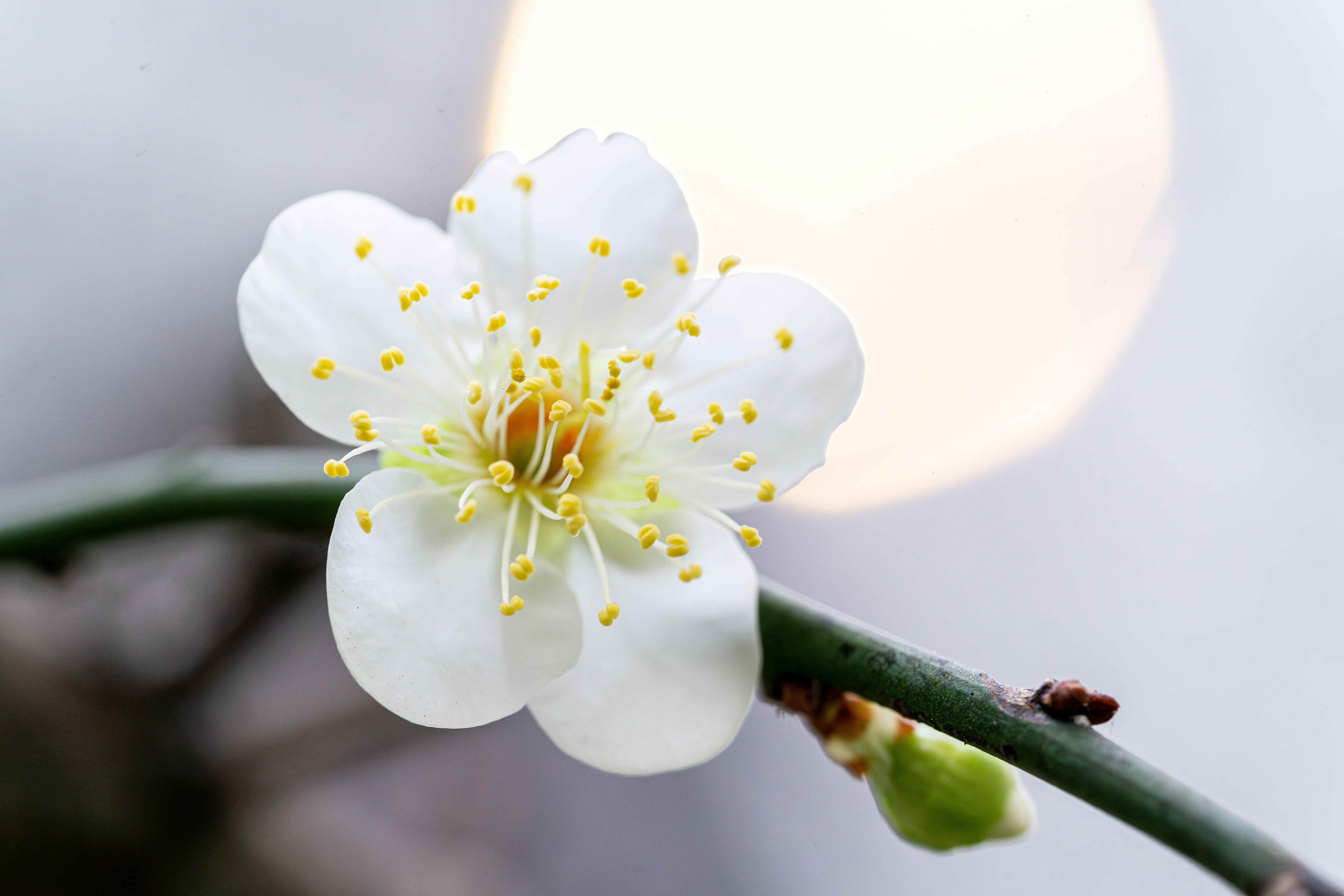 Photo by winstonchen