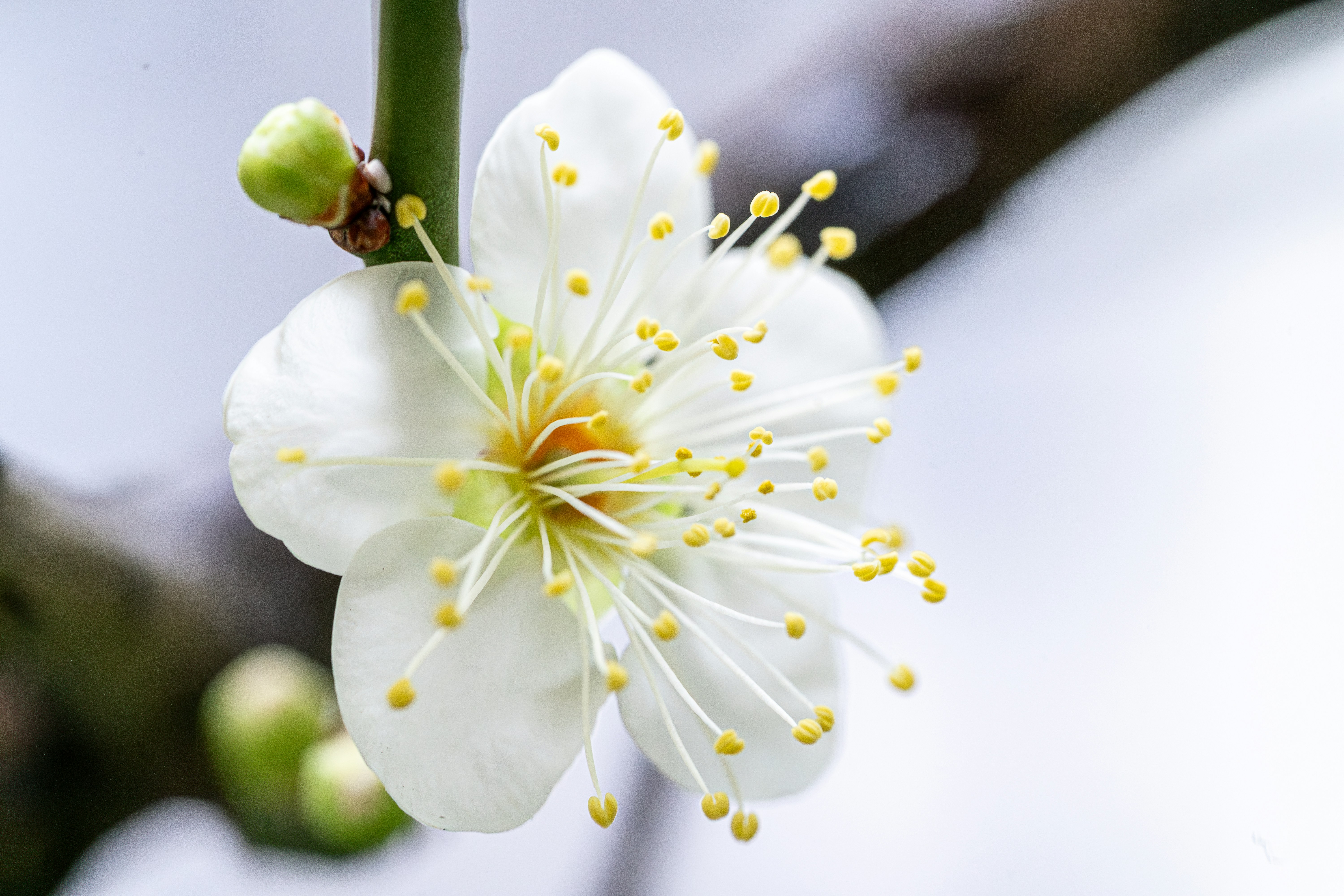 Photo by winstonchen