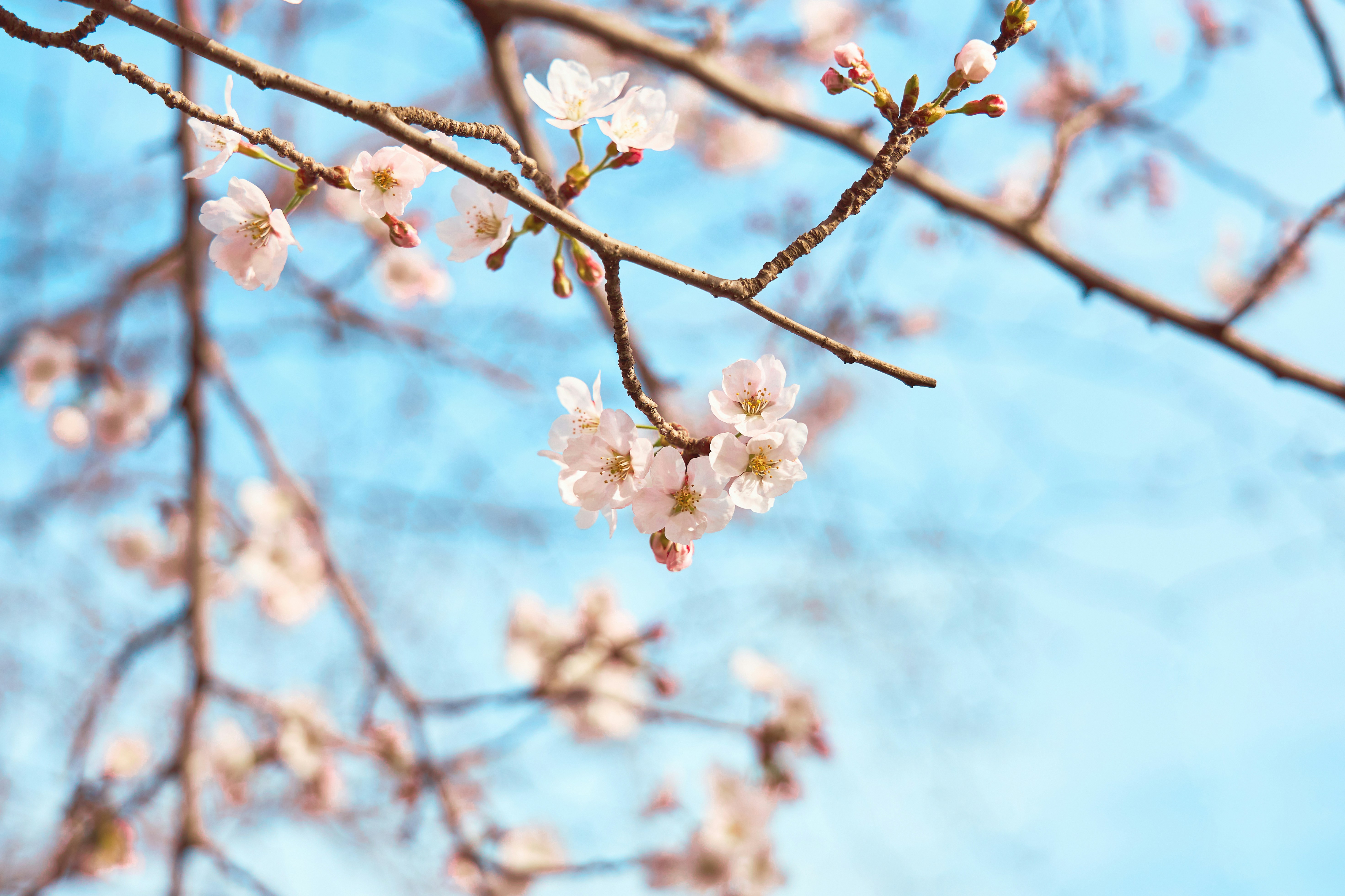 Photo by modernshoot