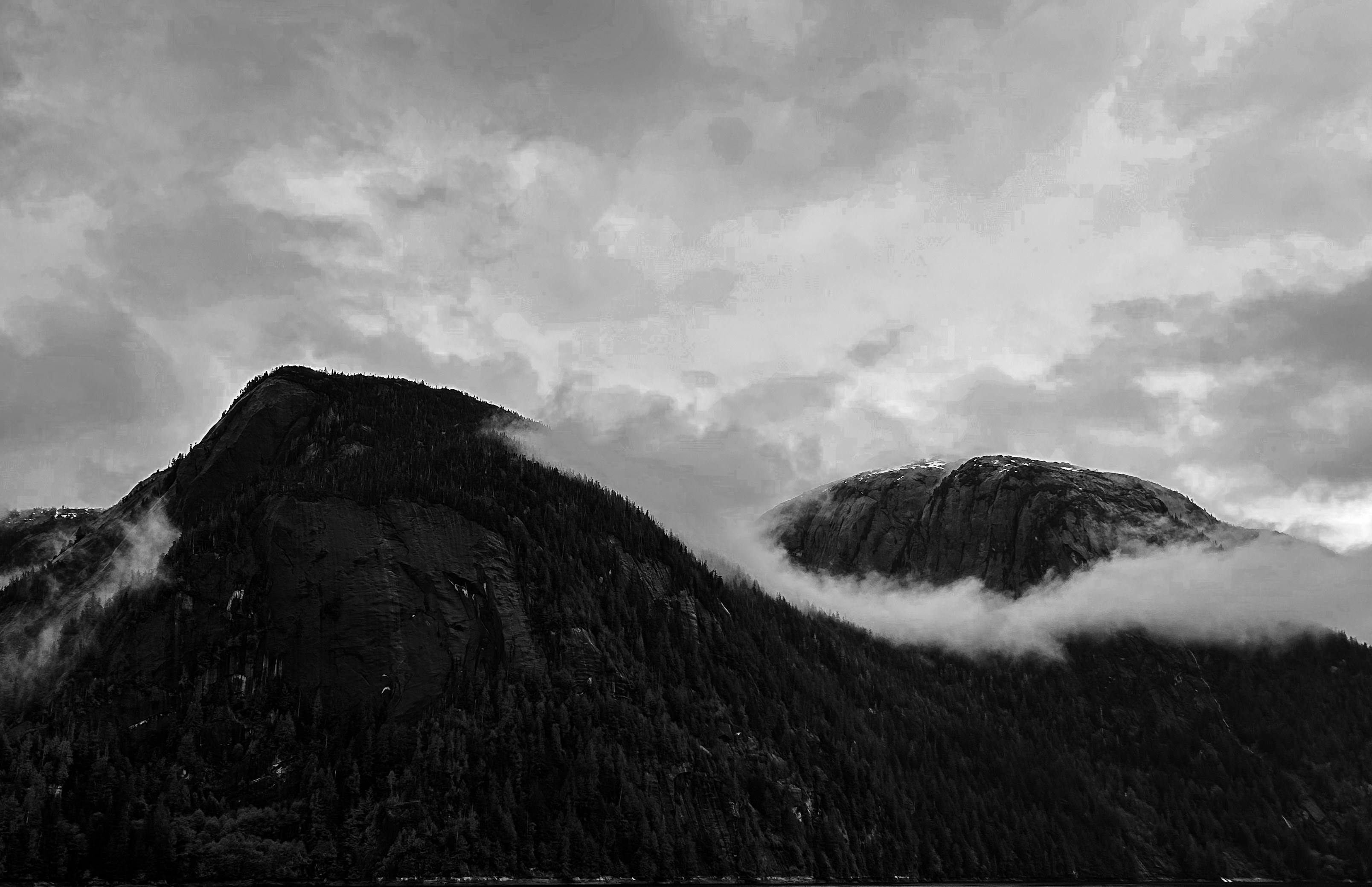 Photo by stellavanhowe