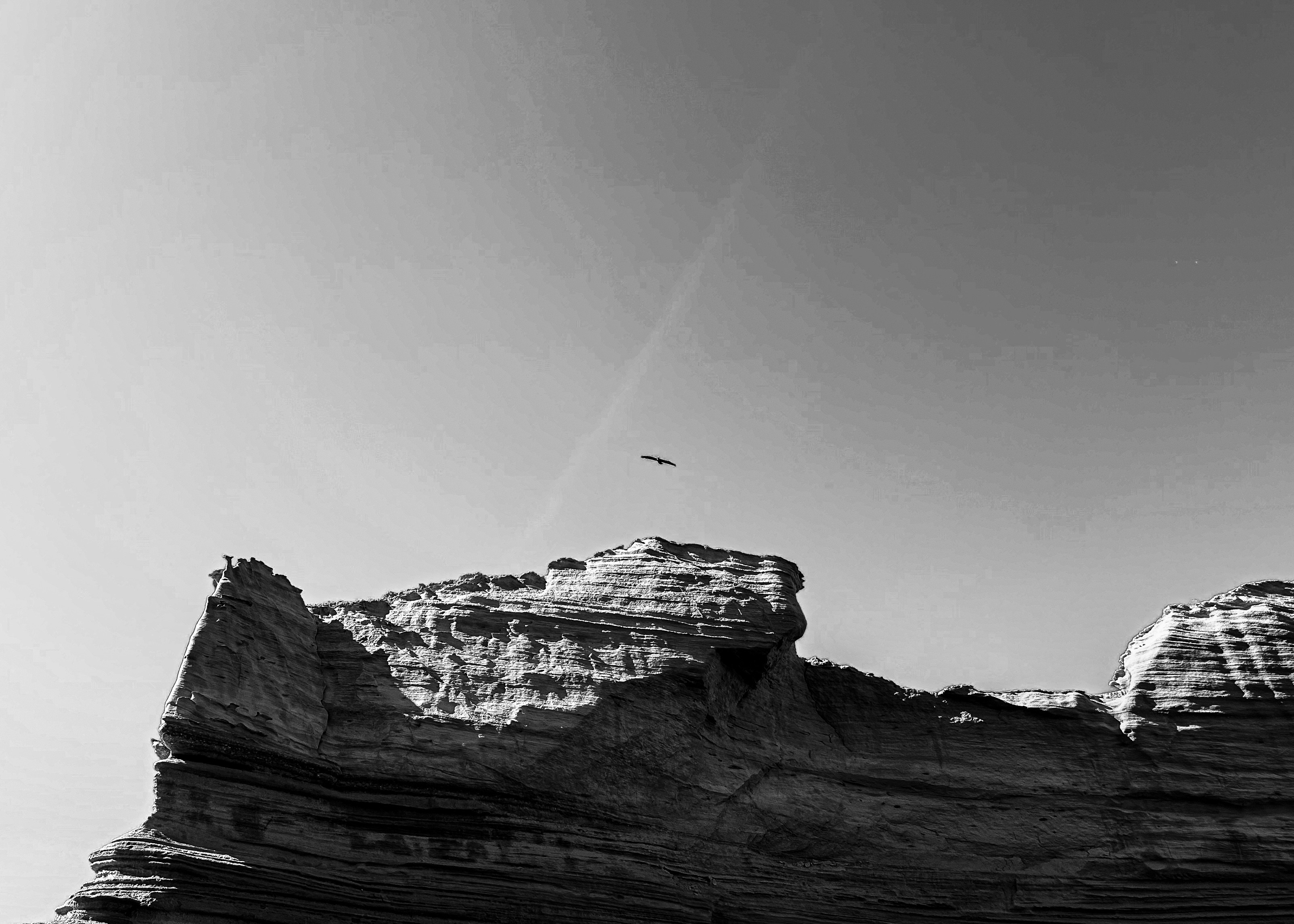 Photo by stellavanhowe