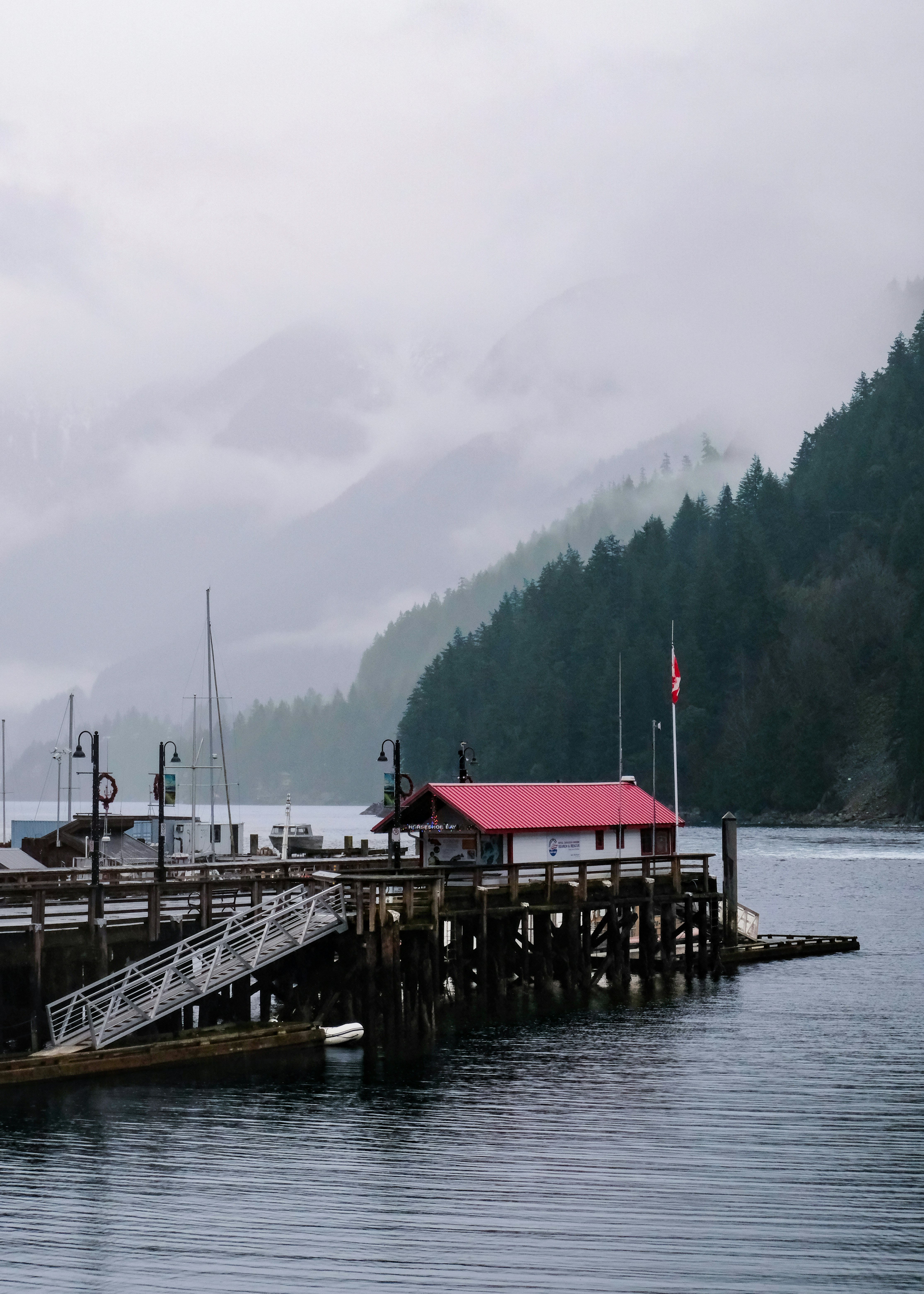 Photo by farnaz________