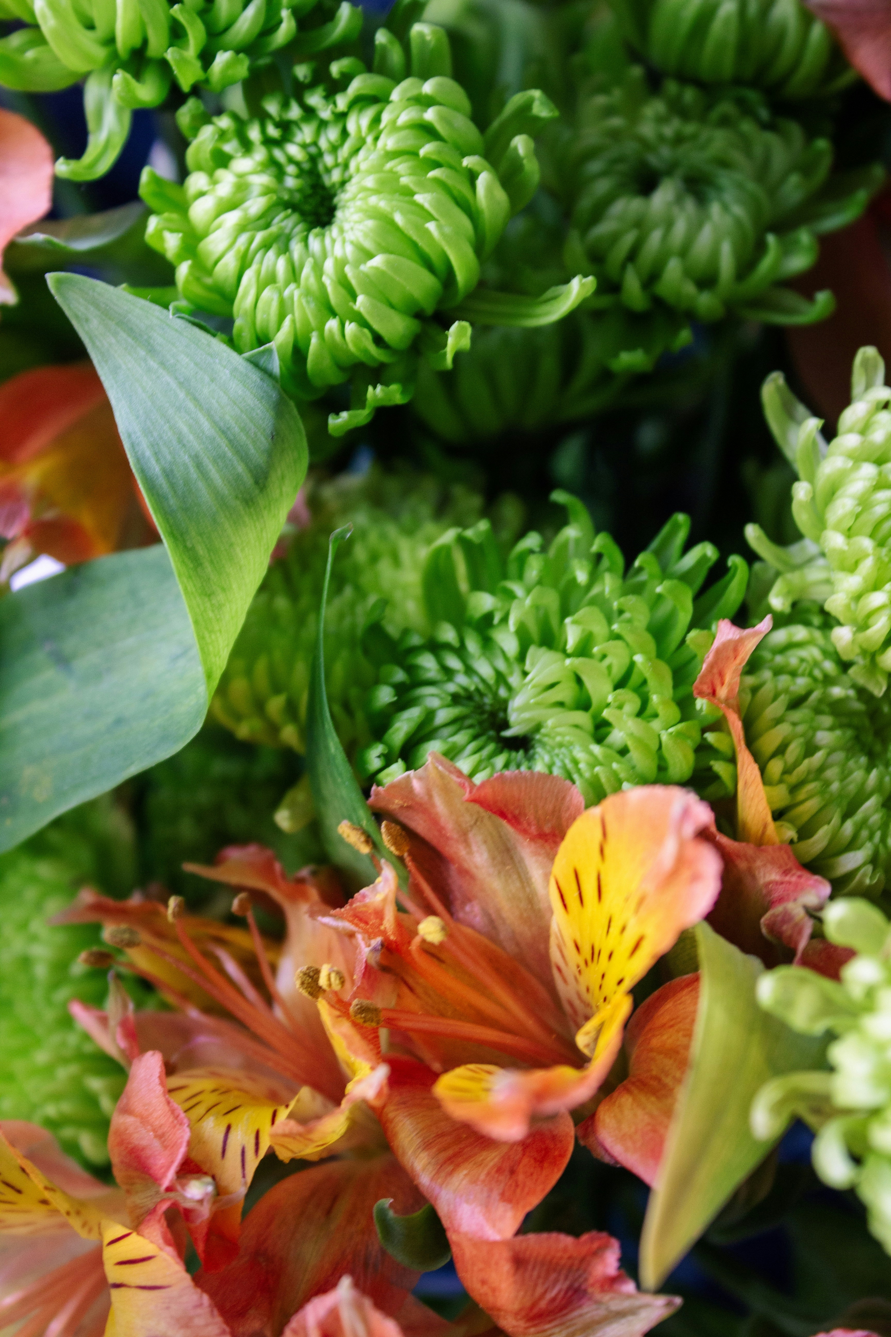 A close up of a bunch of flowers