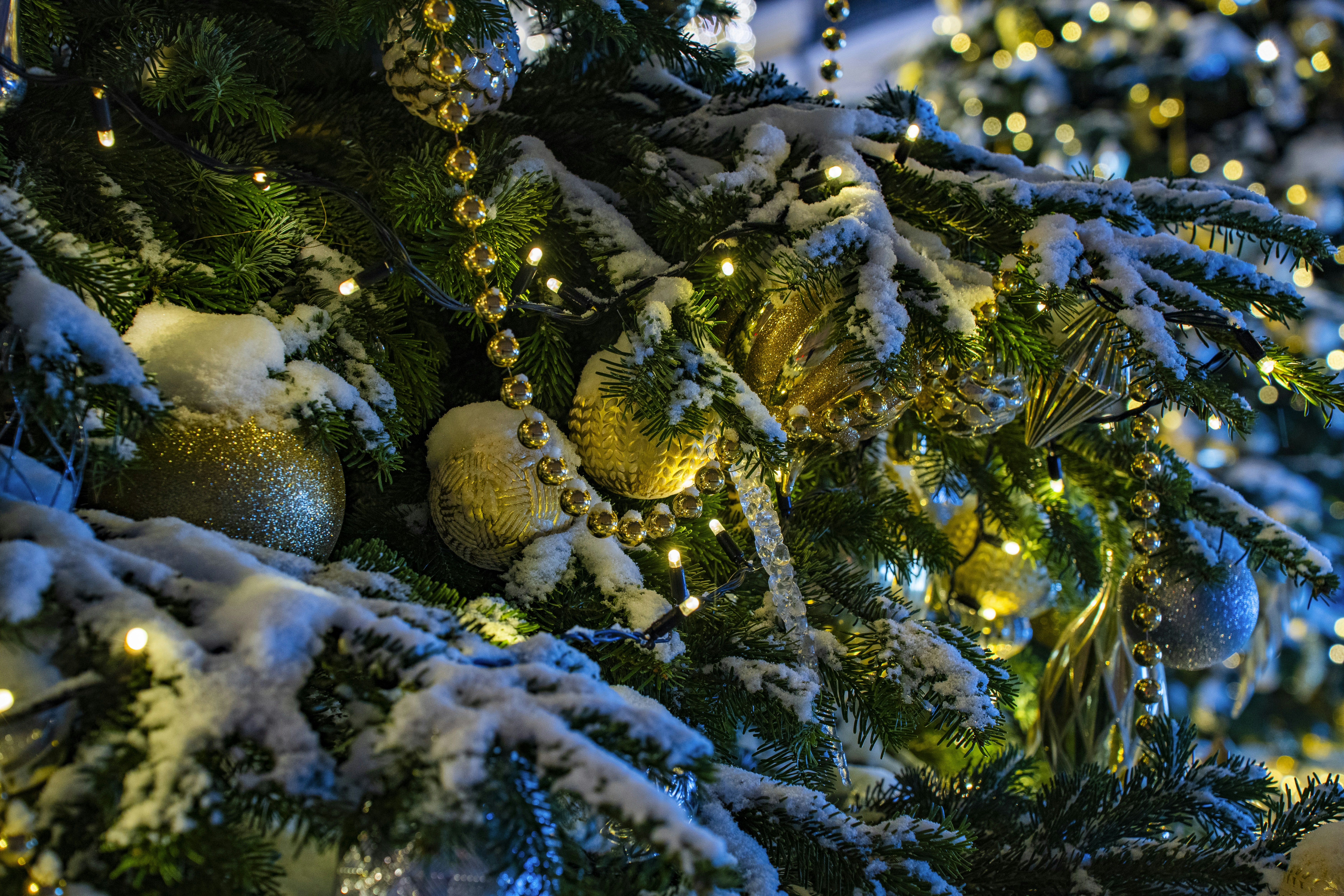 A christmas tree with lights and snow on it