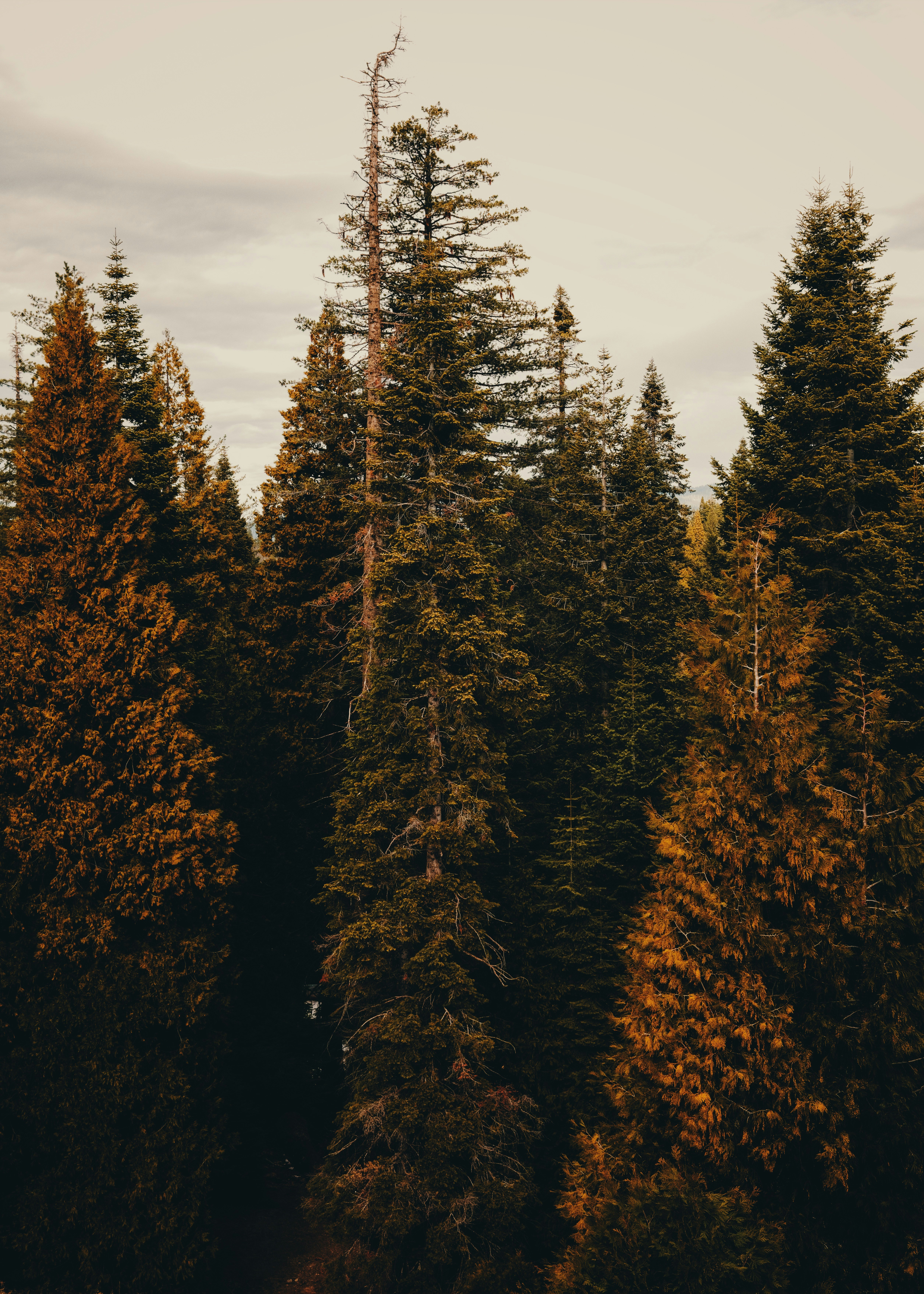 Photo by kalaniparker