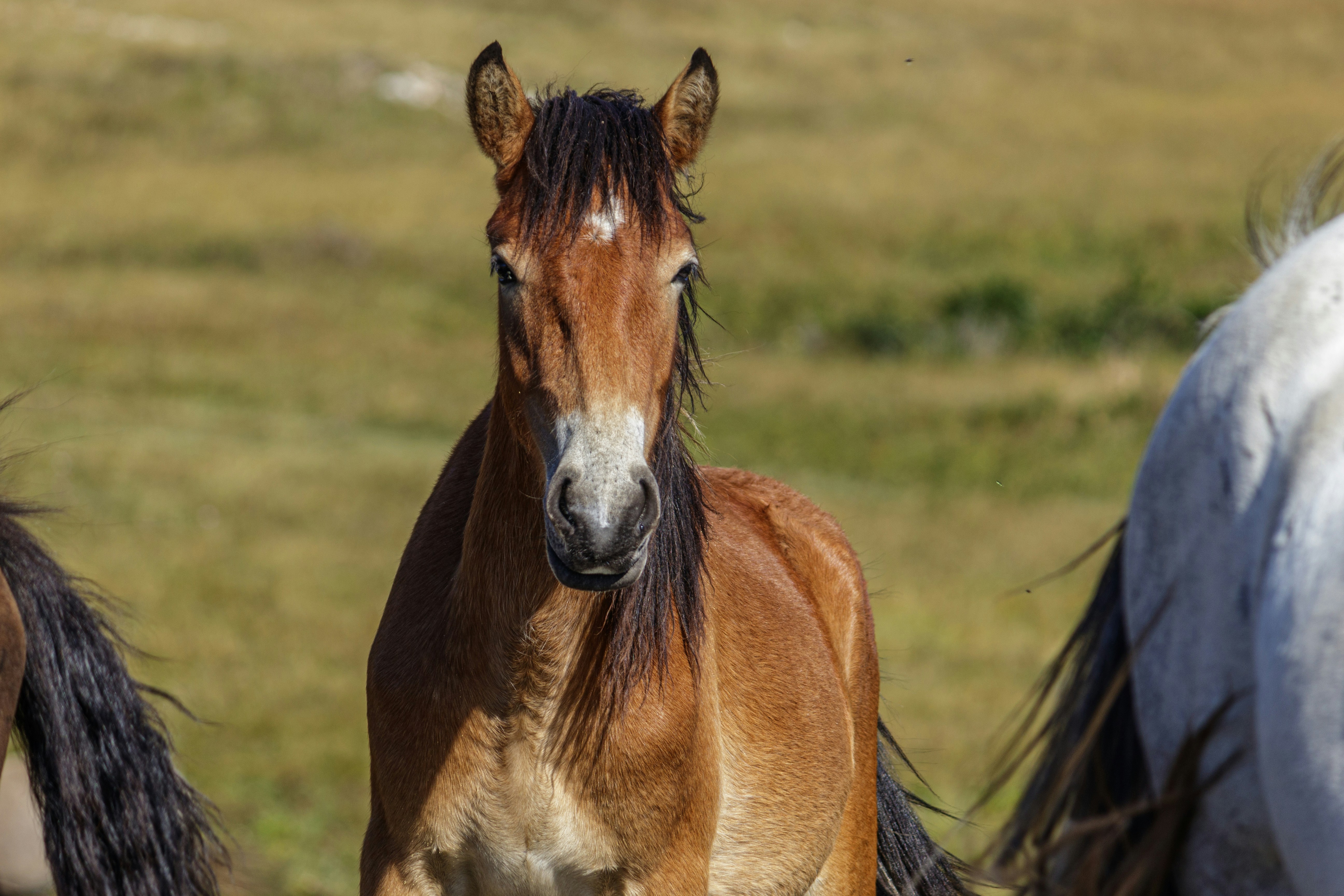 Photo by sporisevicphotography