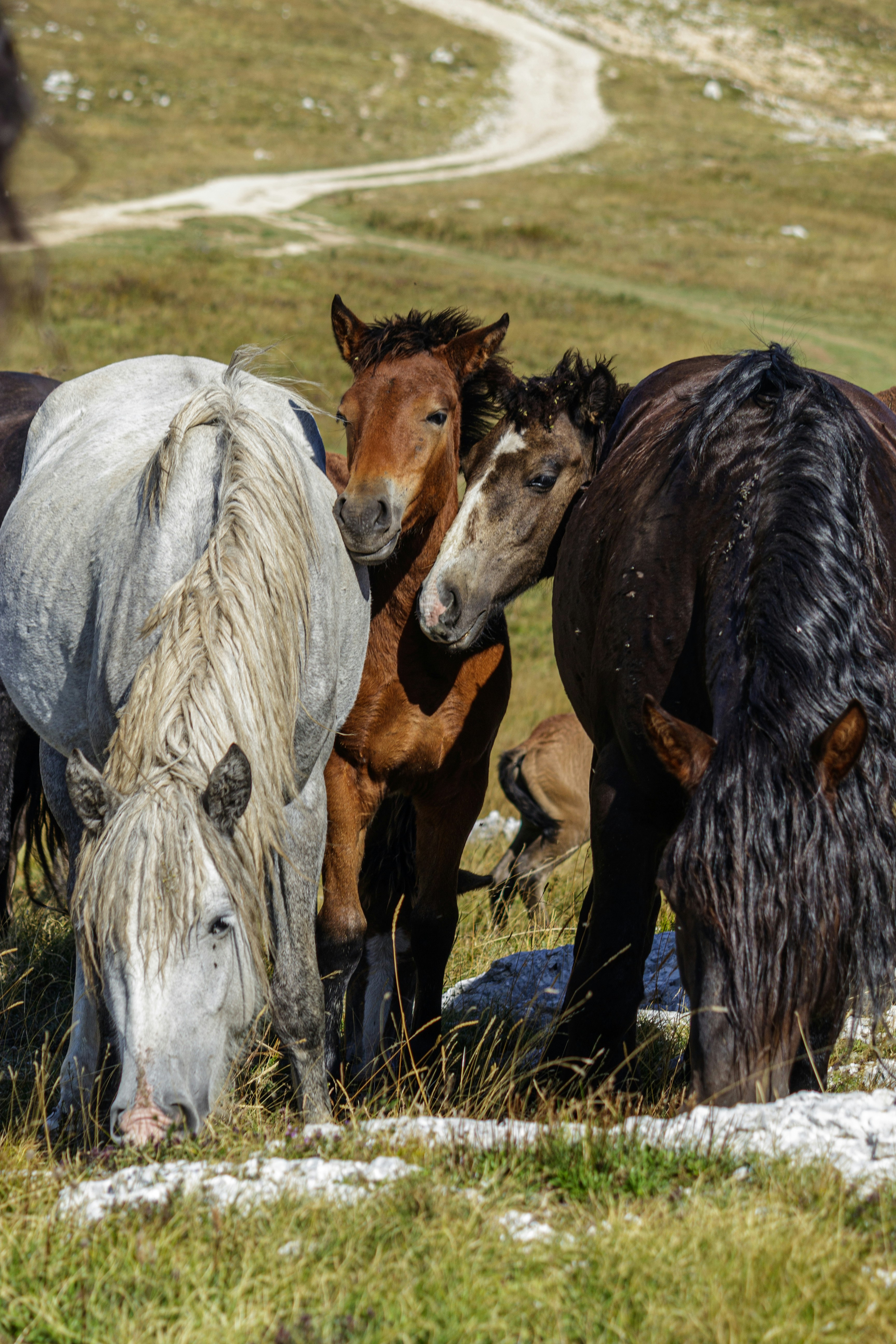 Photo by sporisevicphotography