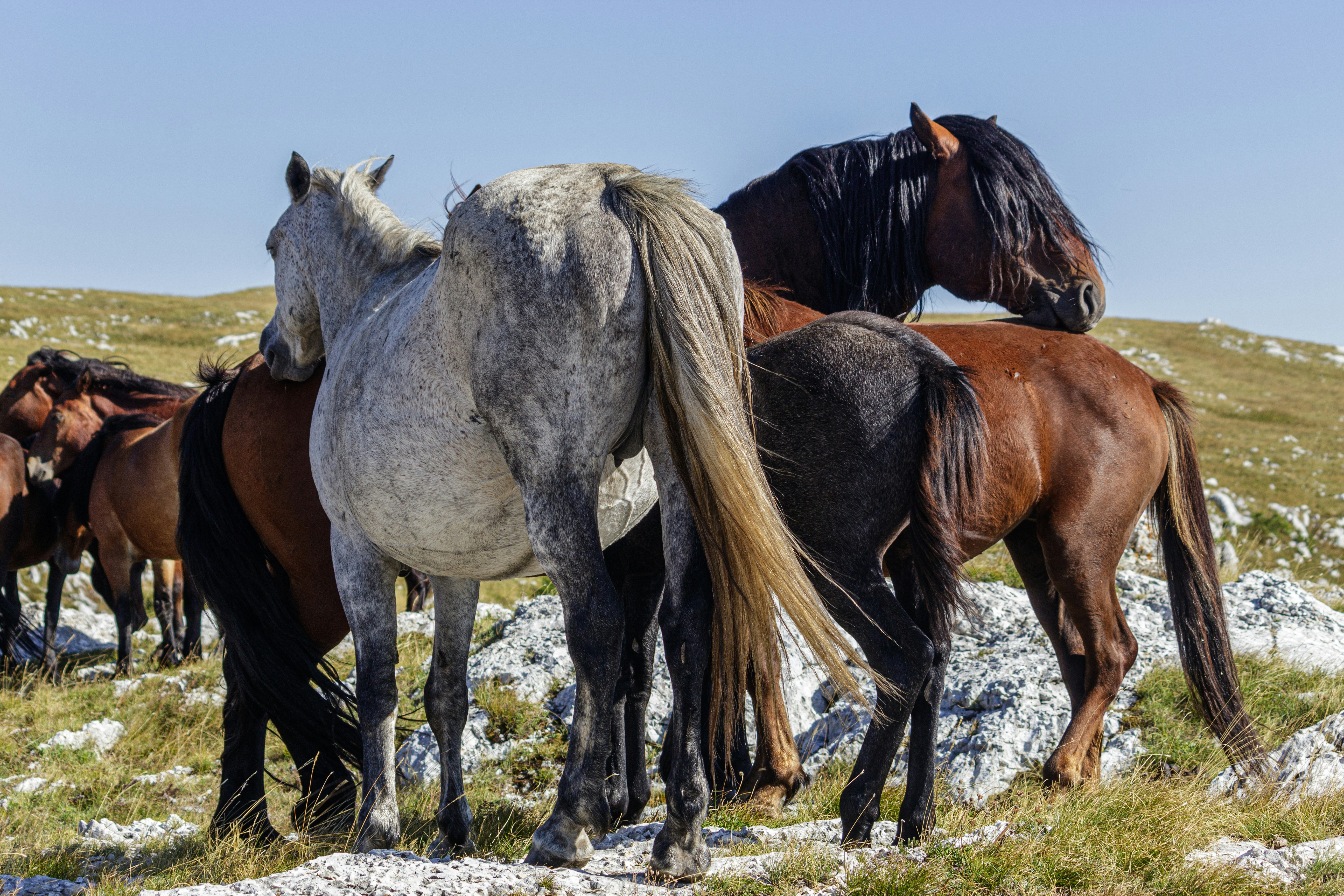 Photo by sporisevicphotography