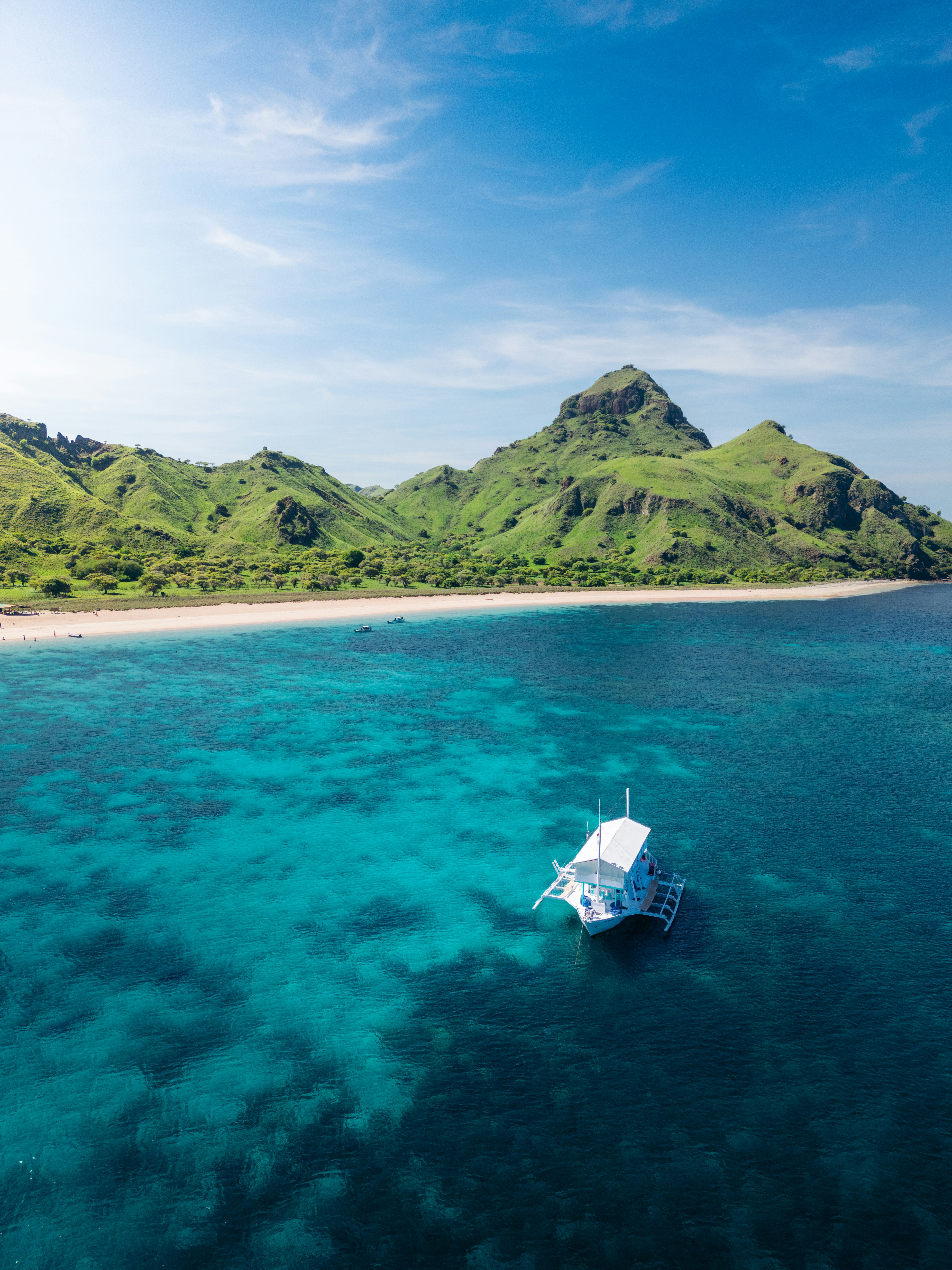 Komodo Dragon Trekking