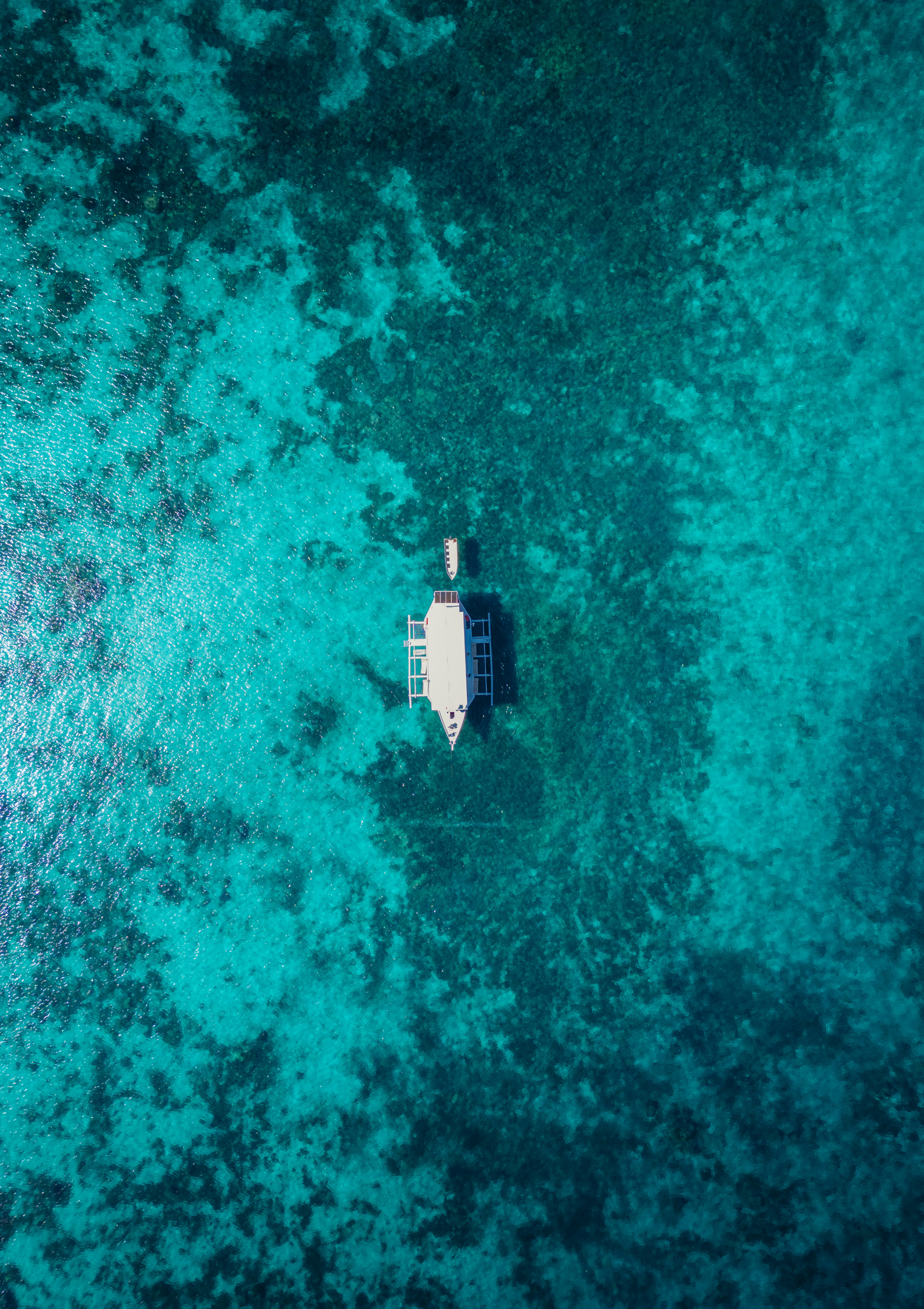 Photo by springsimon