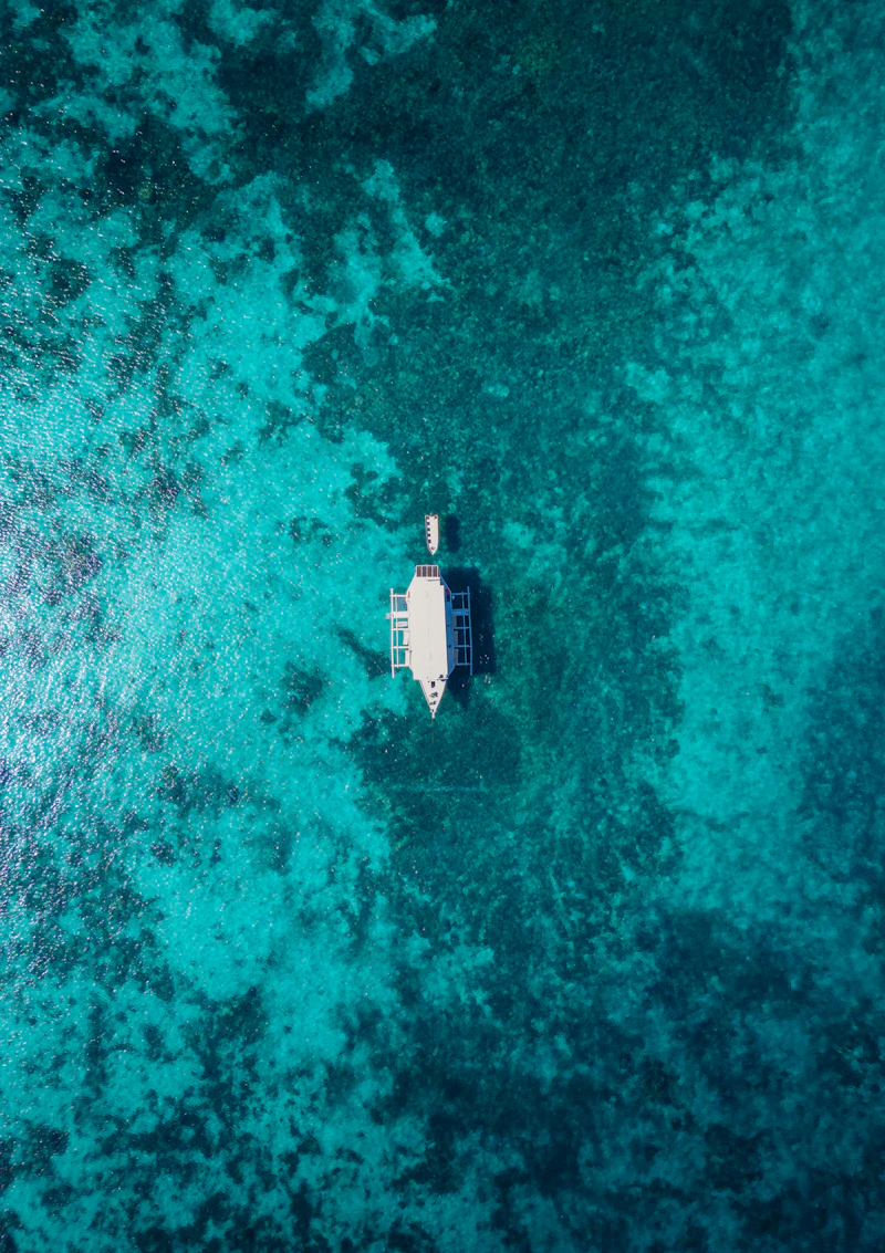 Blue Corner Dive Site