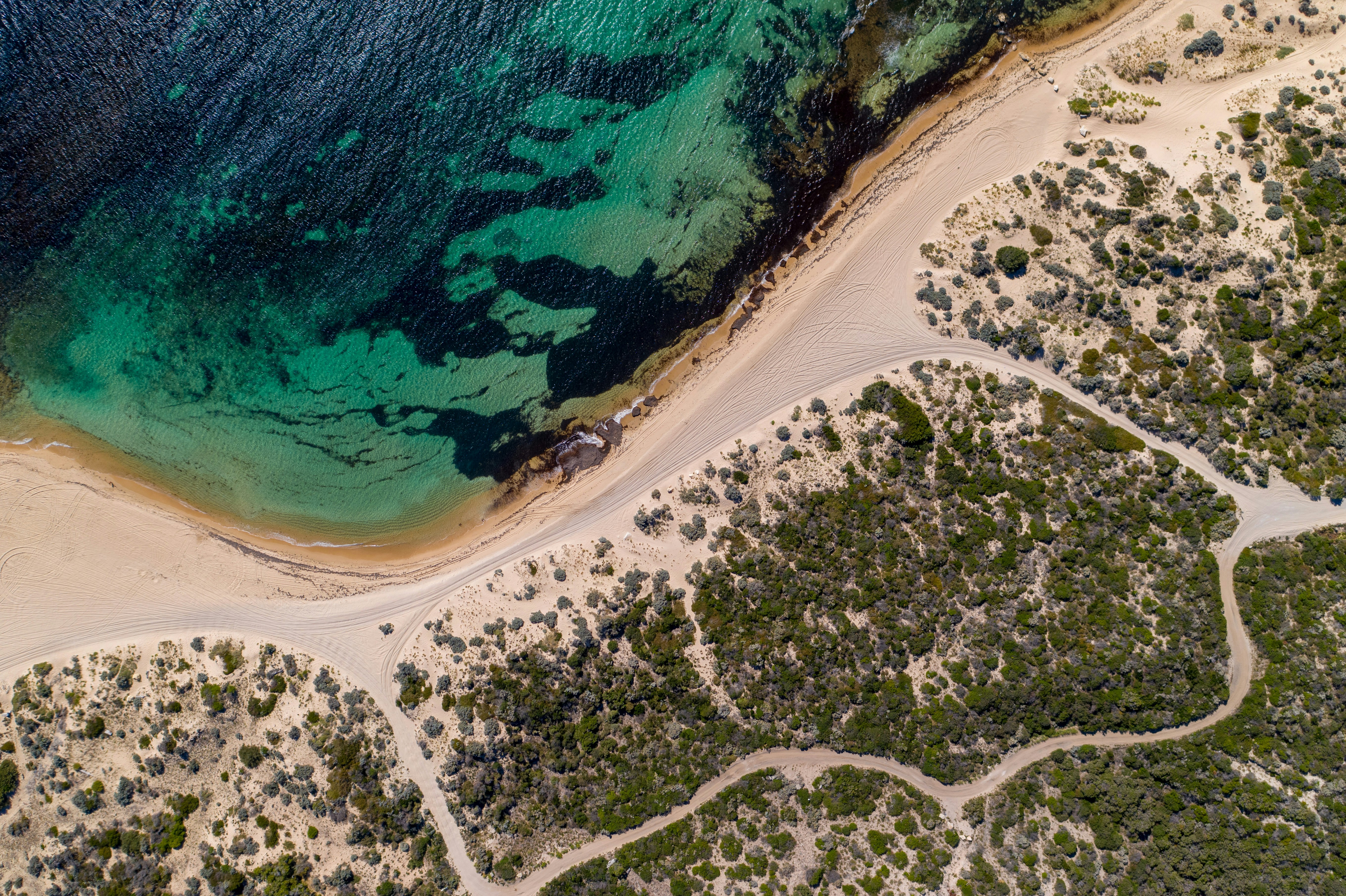 Photo by rhynophotography