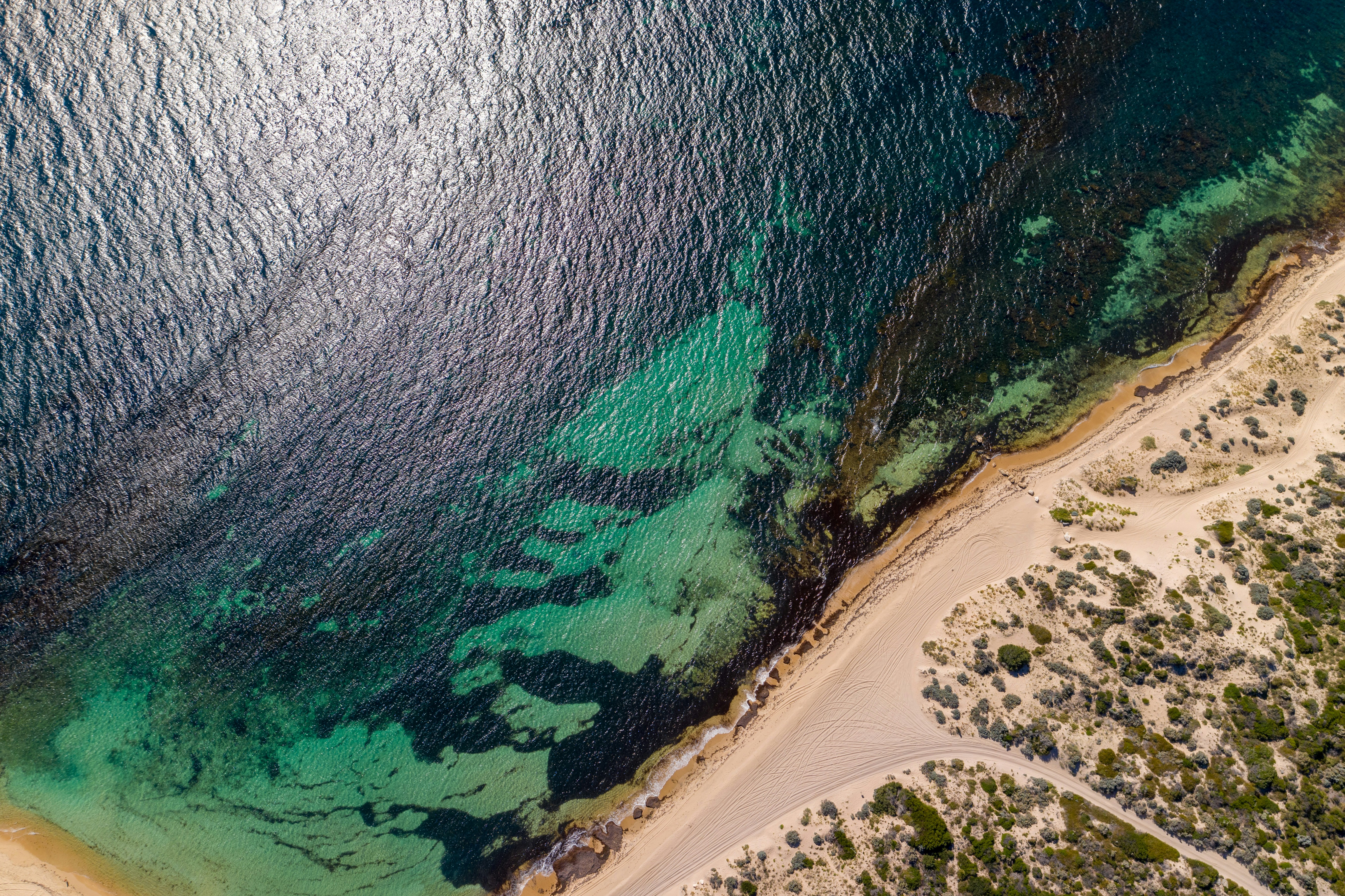 Photo by rhynophotography