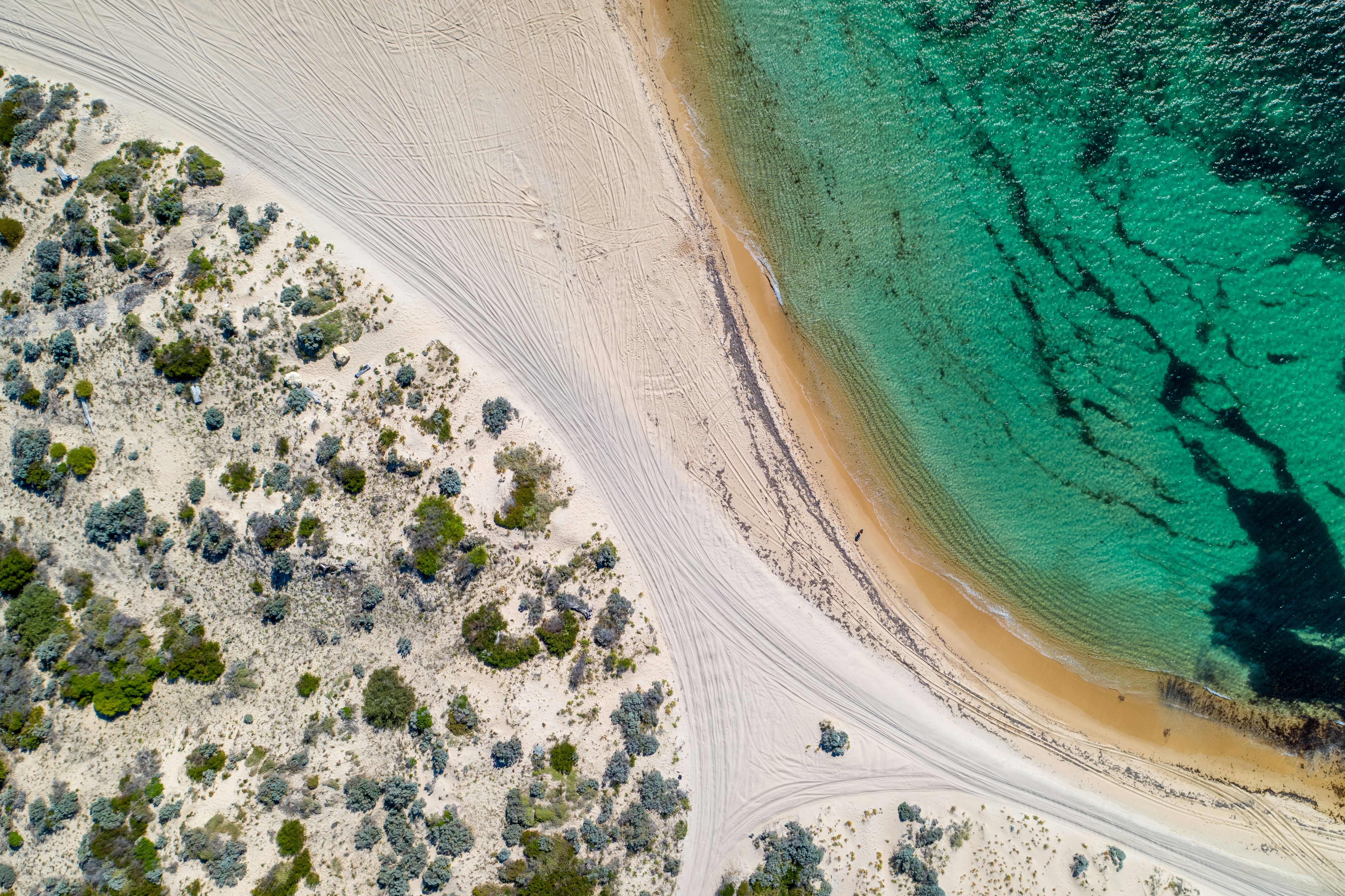 Photo by rhynophotography