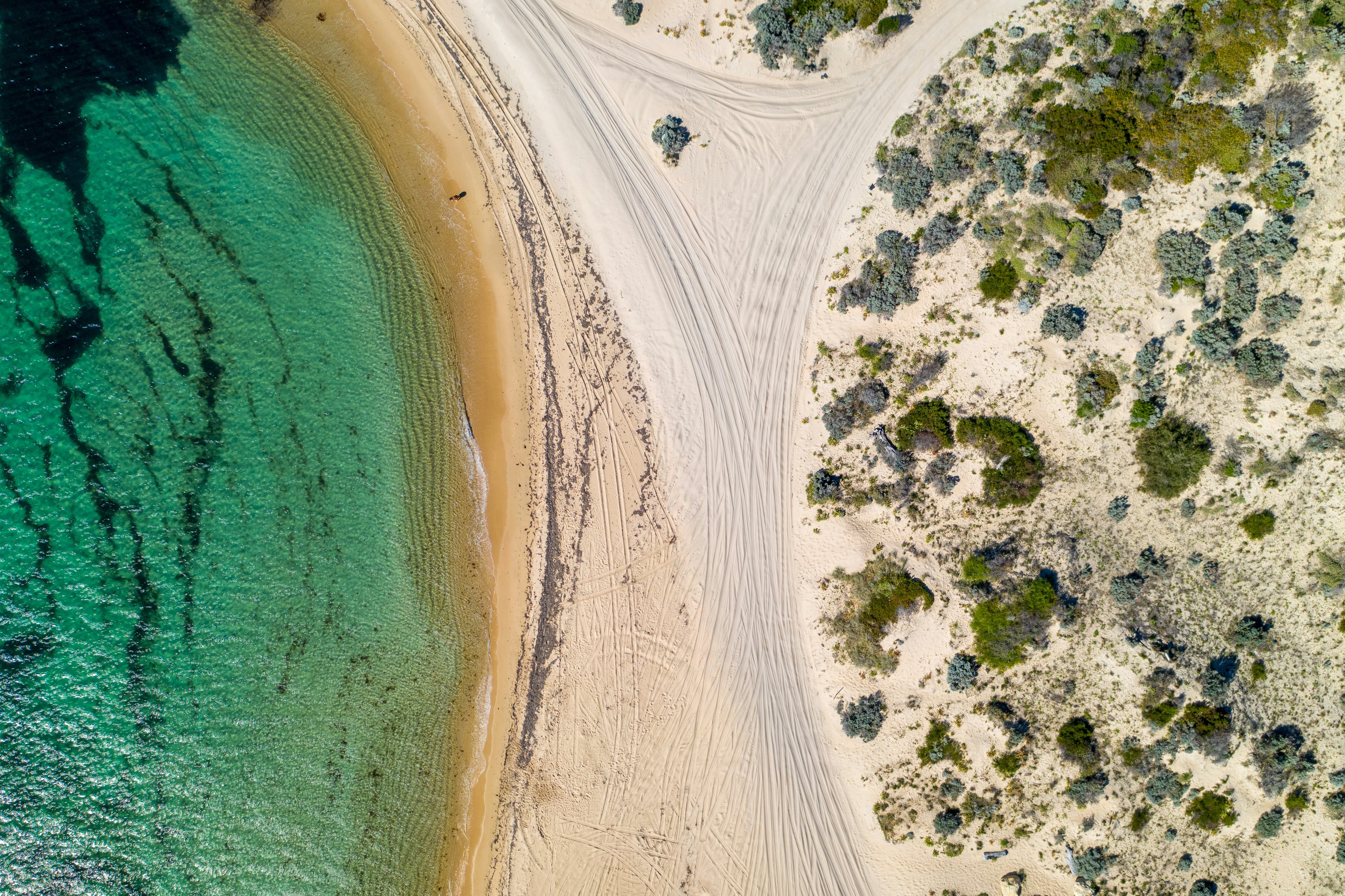 Photo by rhynophotography