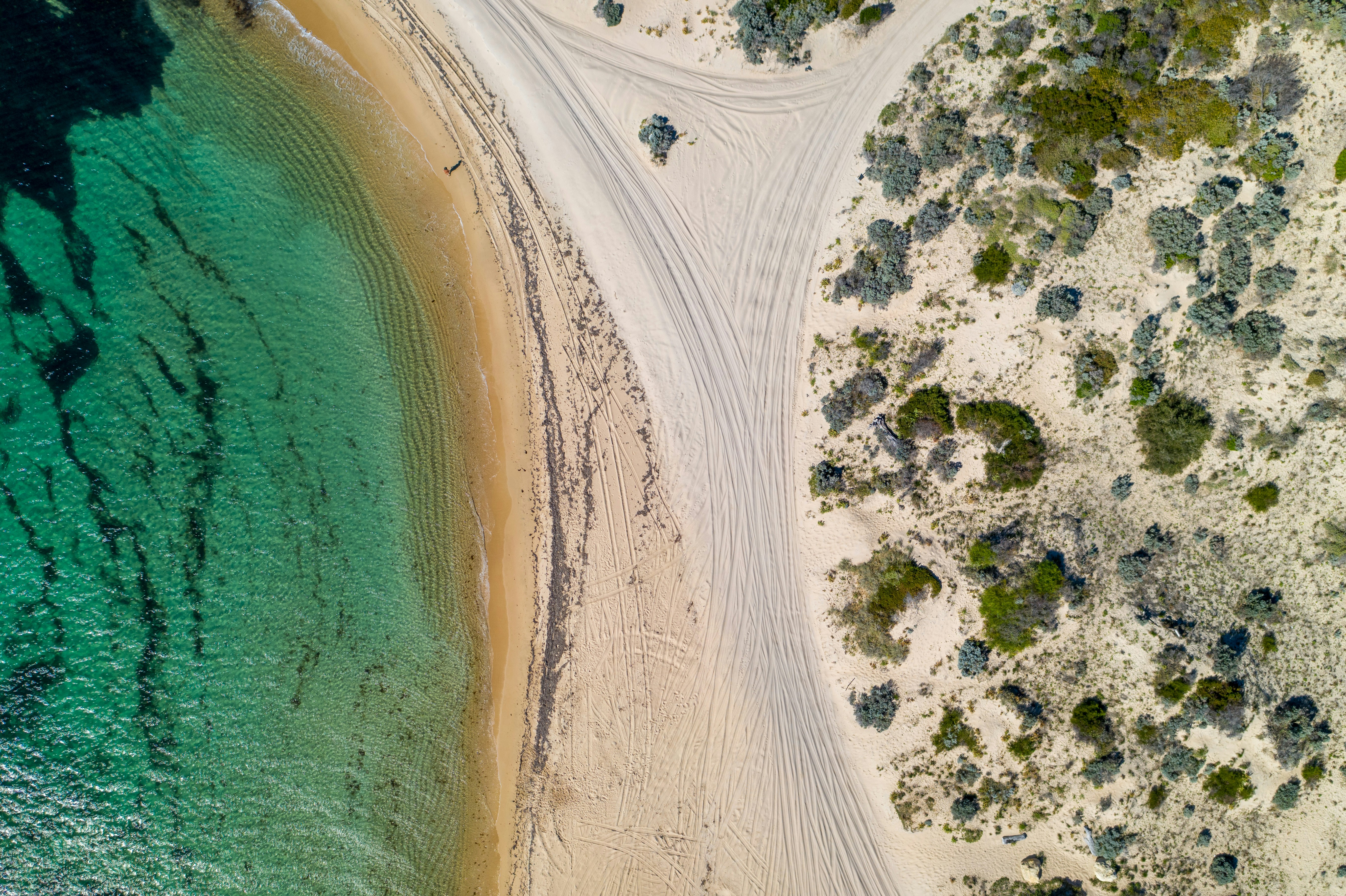 Photo by rhynophotography