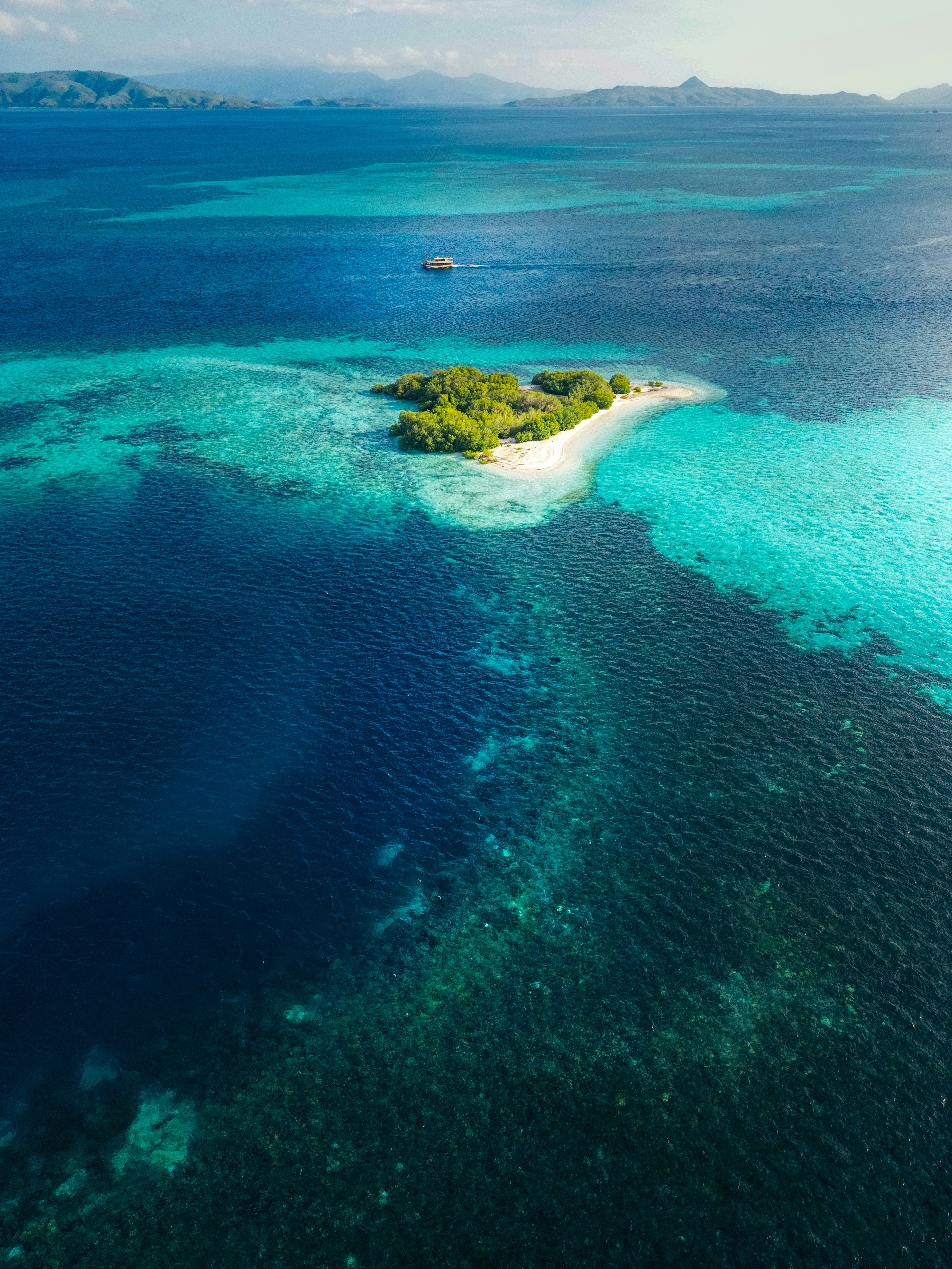 Photo by springsimon